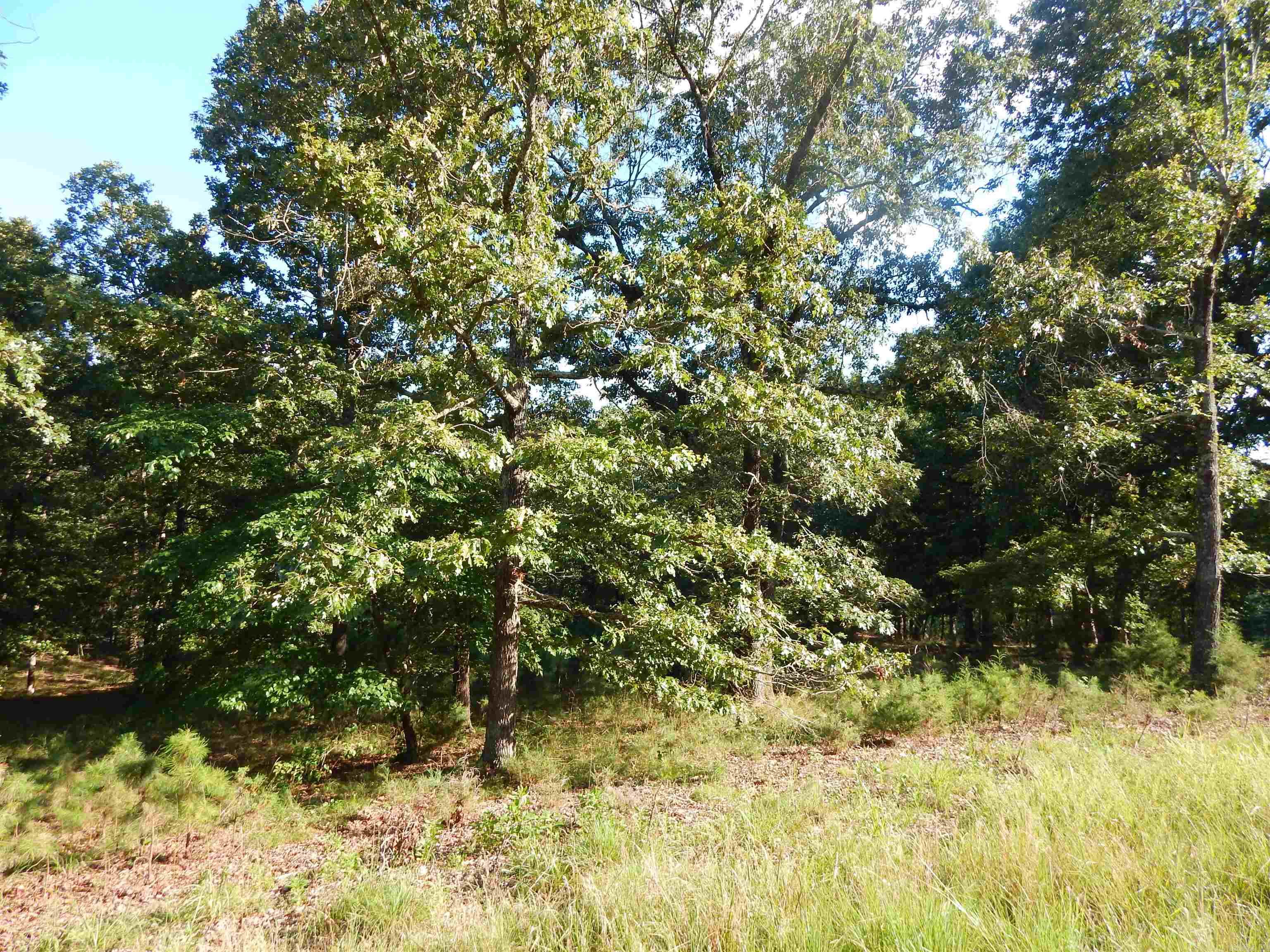 Mountain Aire East Lakeside I - Land