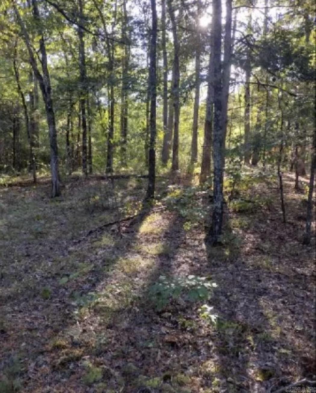 Budd Creek - Land