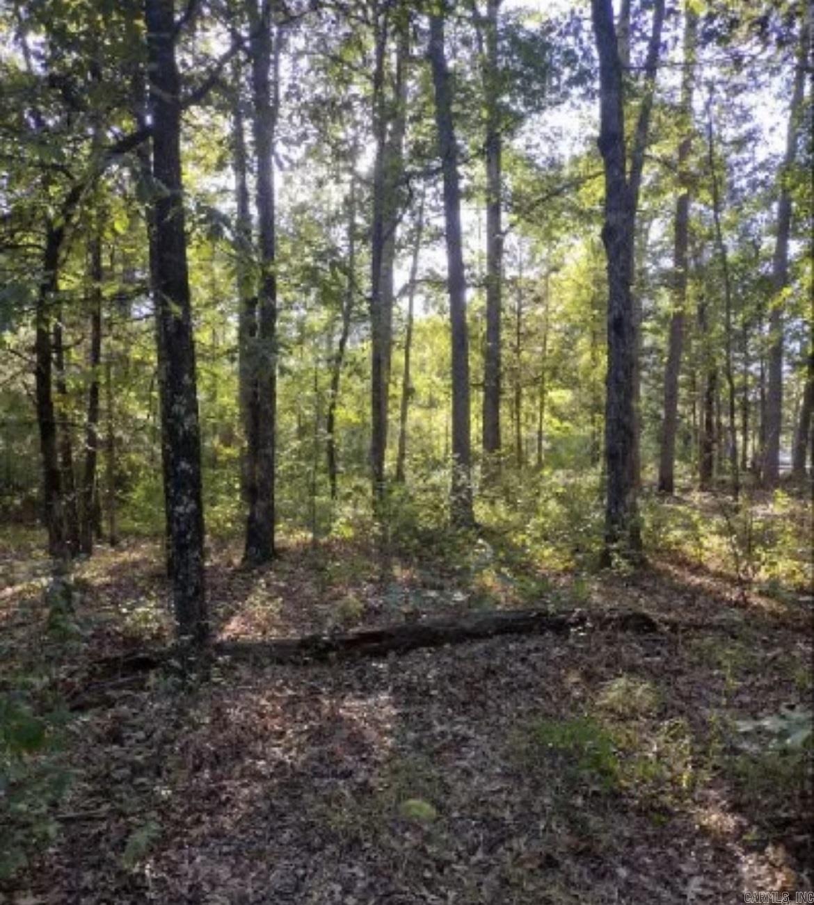 Budd Creek - Land