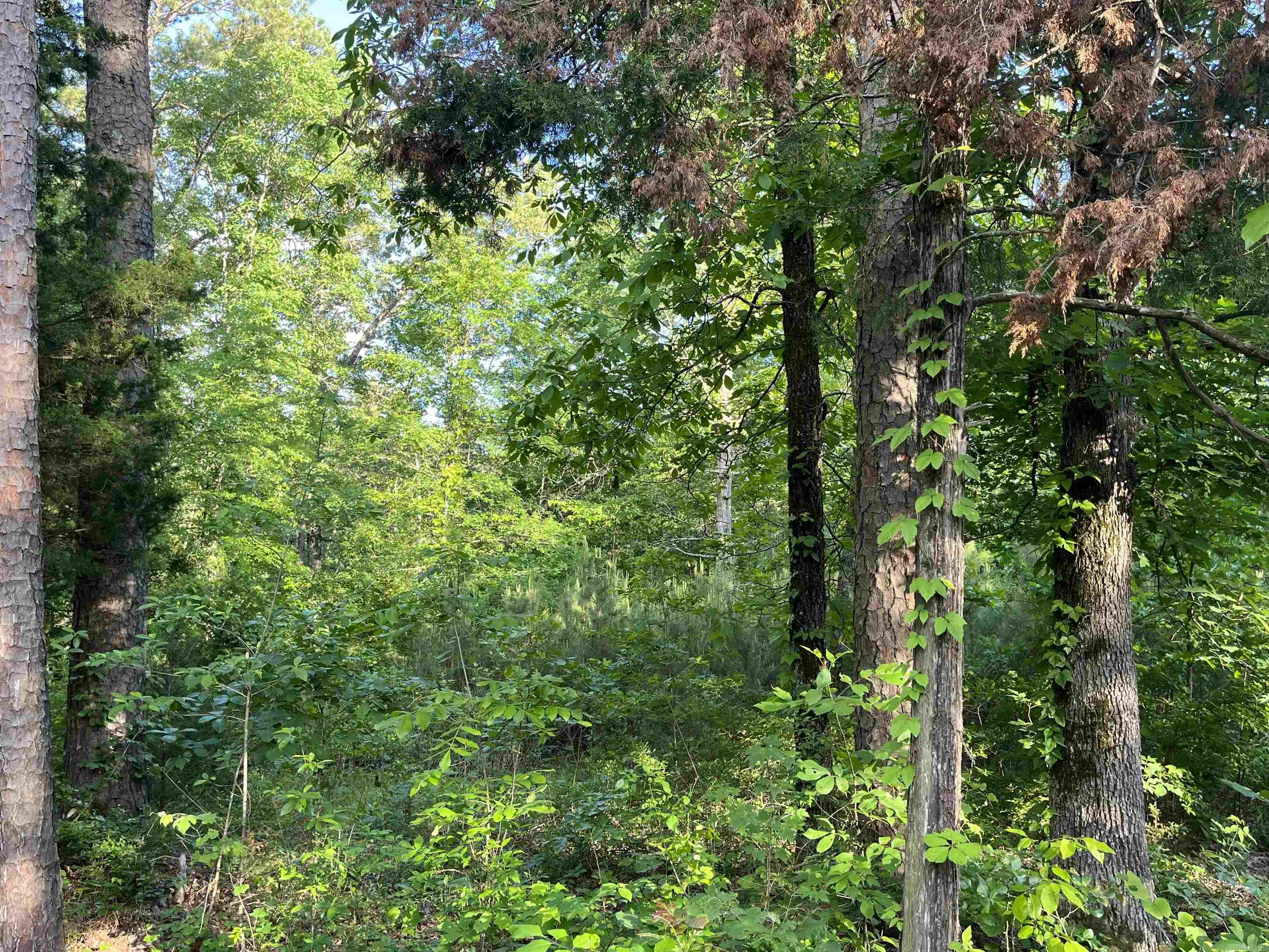 Budd Creek - Land