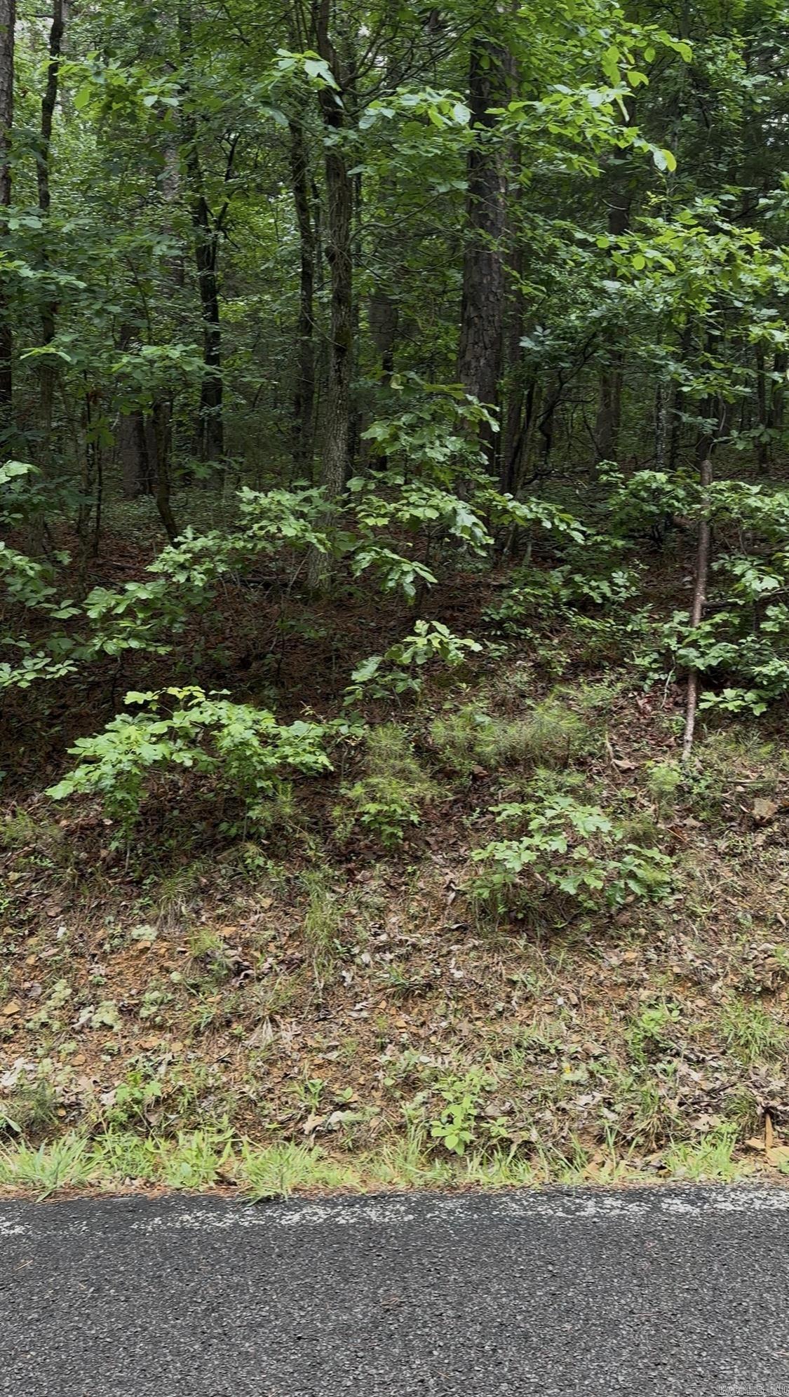 Fairfield bay residential lot with loads of potential. Located within a cul-de-sac.   Lot and acreage measurements may not be approximate.