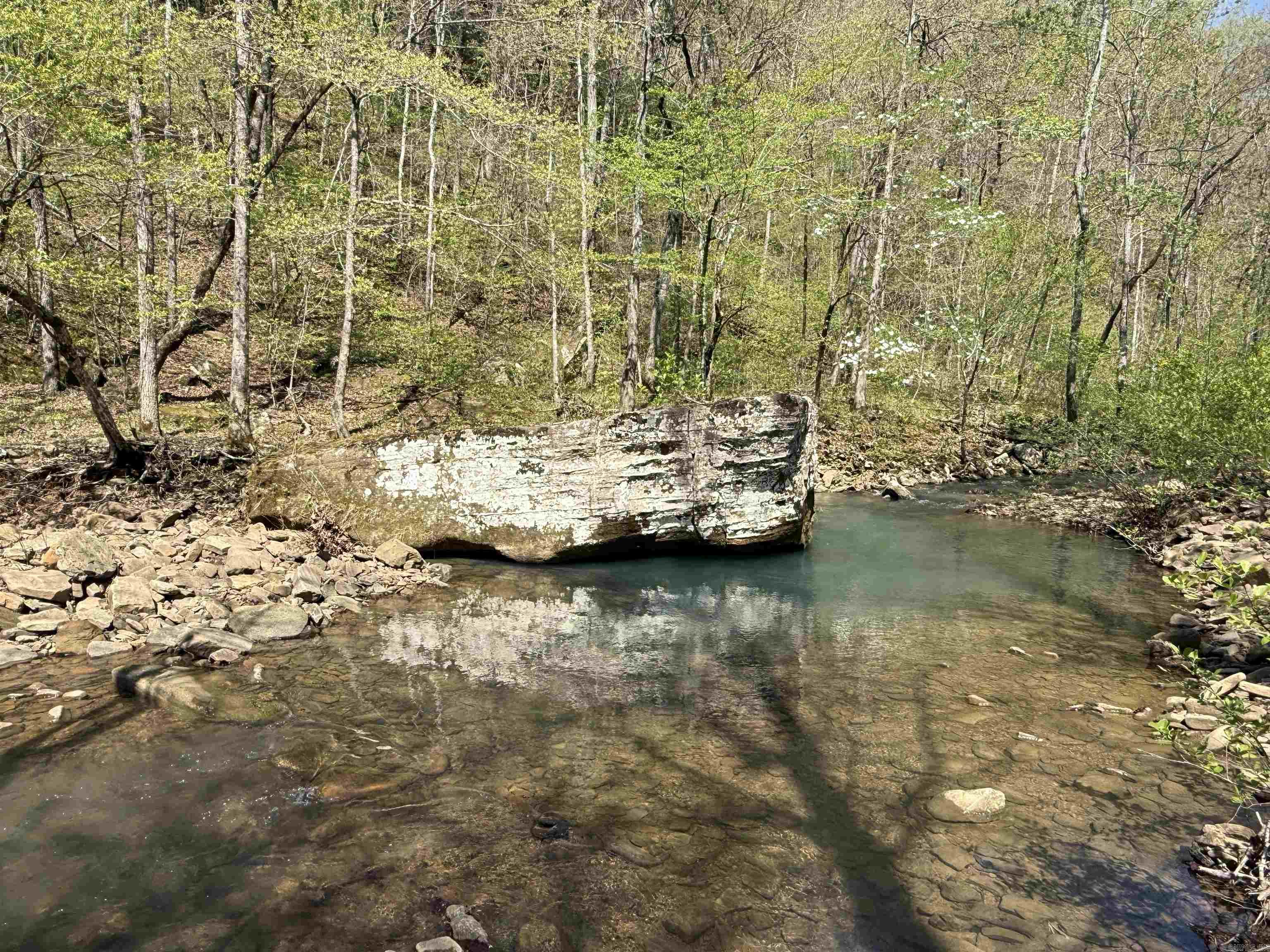 Discover 9.8+/- off-grid acres in Van Buren County, Arkansas, with Pee Dee Creek flowing through the property and a scenic cabin site ready for your dream getaway. This secluded tract features dramatic bluffs, natural springs, and cave overhangs—perfect for outdoor enthusiasts, homesteaders, or anyone seeking peace and privacy in the Ozarks. Whether you're looking for a quiet retreat or a basecamp for exploration, this land offers a rare mix of water, elevation, and raw natural beauty. Don't miss this opportunity to own your slice of Arkansas wilderness.