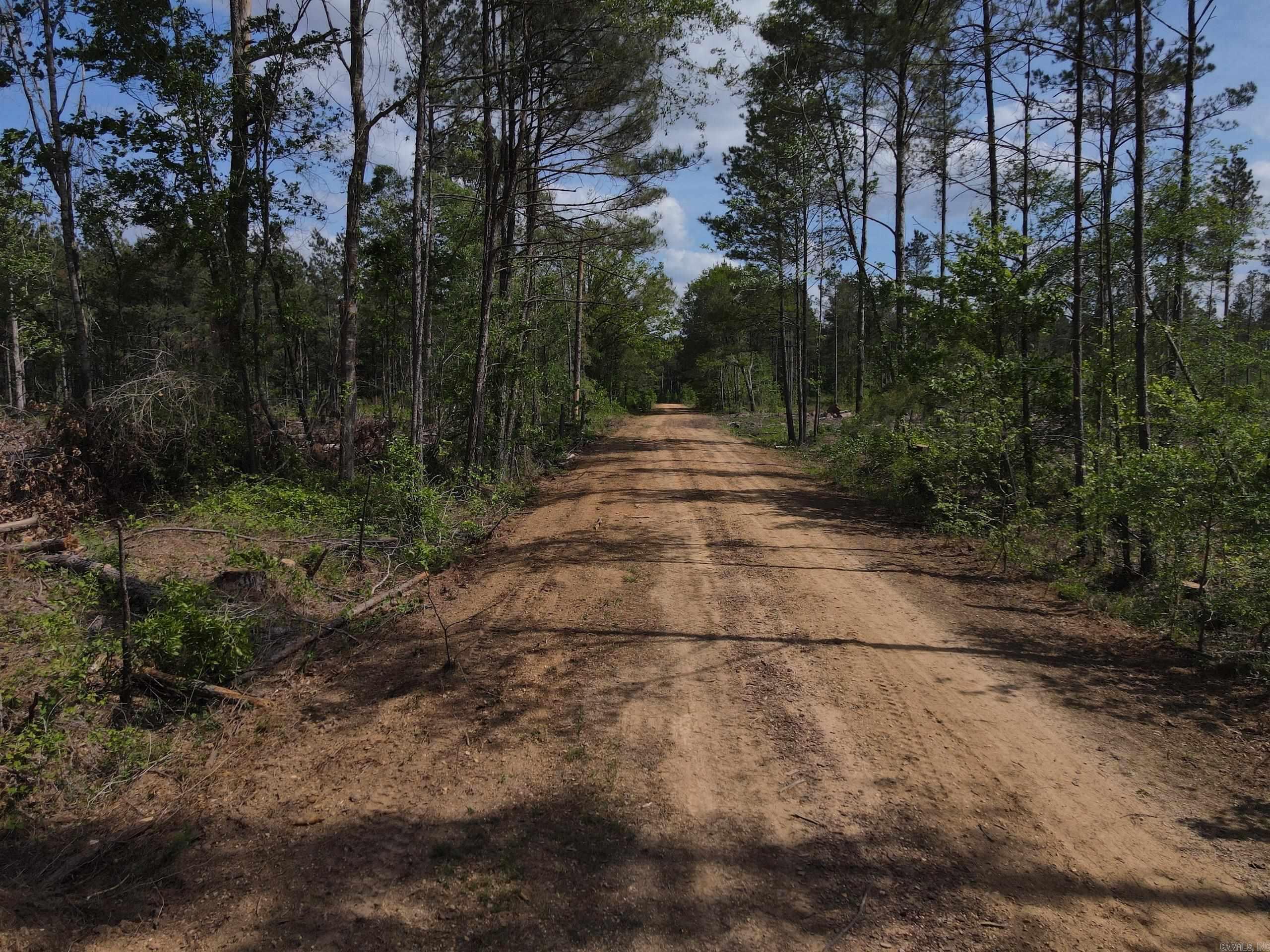 This 80± acre tract in Ashley County near Hamburg, Arkansas offers an excellent blend of recreational hunting and long-term timber investment. Ideal for outdoorsmen or investors, the property delivers strong habitat and future income potential.  Approximately 40± acres are in a 15-year-old pine plantation, providing solid growth and future timber value. The remaining 40± acres have been recently thinned, creating diverse habitat that enhances wildlife movement and bedding cover.  The area supports abundant deer and hogs, along with turkey and small game, offering year-round hunting opportunities. Proximity to Chemin-A-Haut Creek adds a reliable water source that benefits wildlife and improves hunting conditions.  The tract offers good access and usability, making it easy to set up stands, feeders, or enjoy recreational use. It’s well-suited for weekend hunts, family outings, or a private retreat.  Additional adjoining acreage is available. Tract 1 Co-listed with Compass South, Inc.