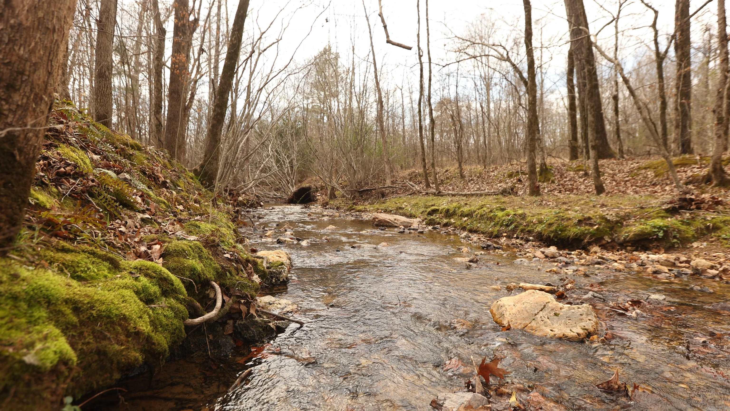 The Preserve - Land