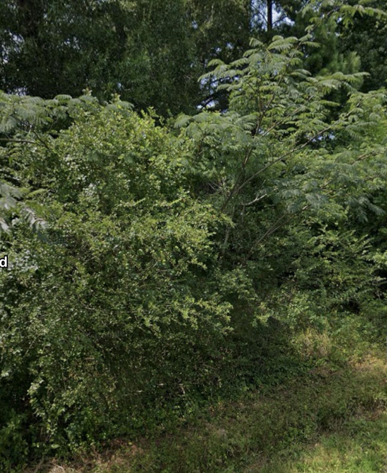Sold Before Listed. Lot is nestled in a quiet growing area just minutes from Dave Ward Dr., I-40, shopping, dining, and Conway schools. Quick drive to UCA, Hendrix, Conway Regional Medical Center, and retail stores. This property combines convivence with a peaceful atmosphere.