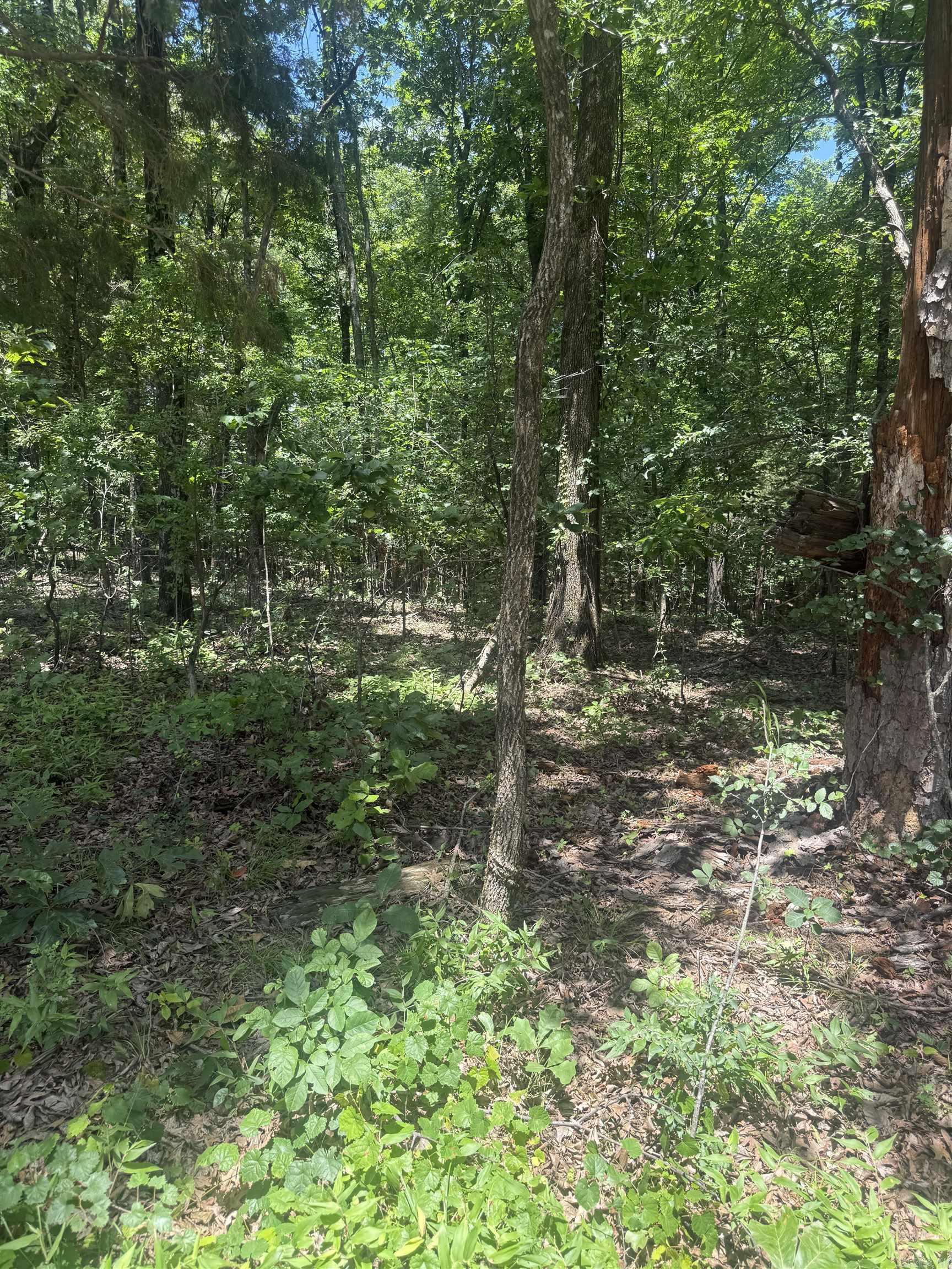 2+/- wooded acres located in the Finch area, offering a great opportunity for residential use. This property provides a peaceful setting with plenty of potential to build your dream home. Water and electricity are available (buyer to verify providers and connection details). Don’t miss your chance to own this beautiful piece of land—call today for more information.