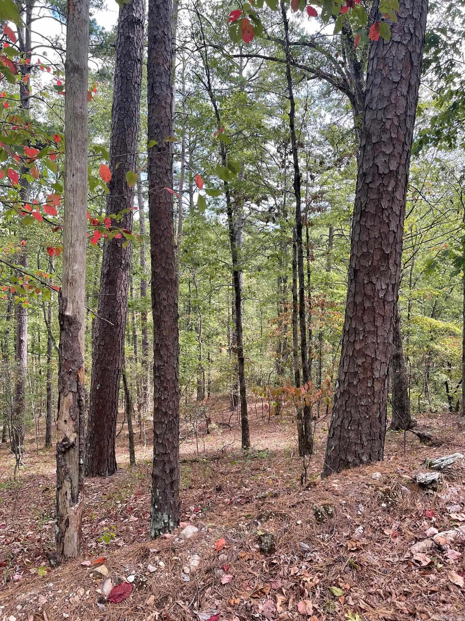 5 acres of land in Hot Springs Village!  Private location, close to Cortez golf course. Call today for more information!