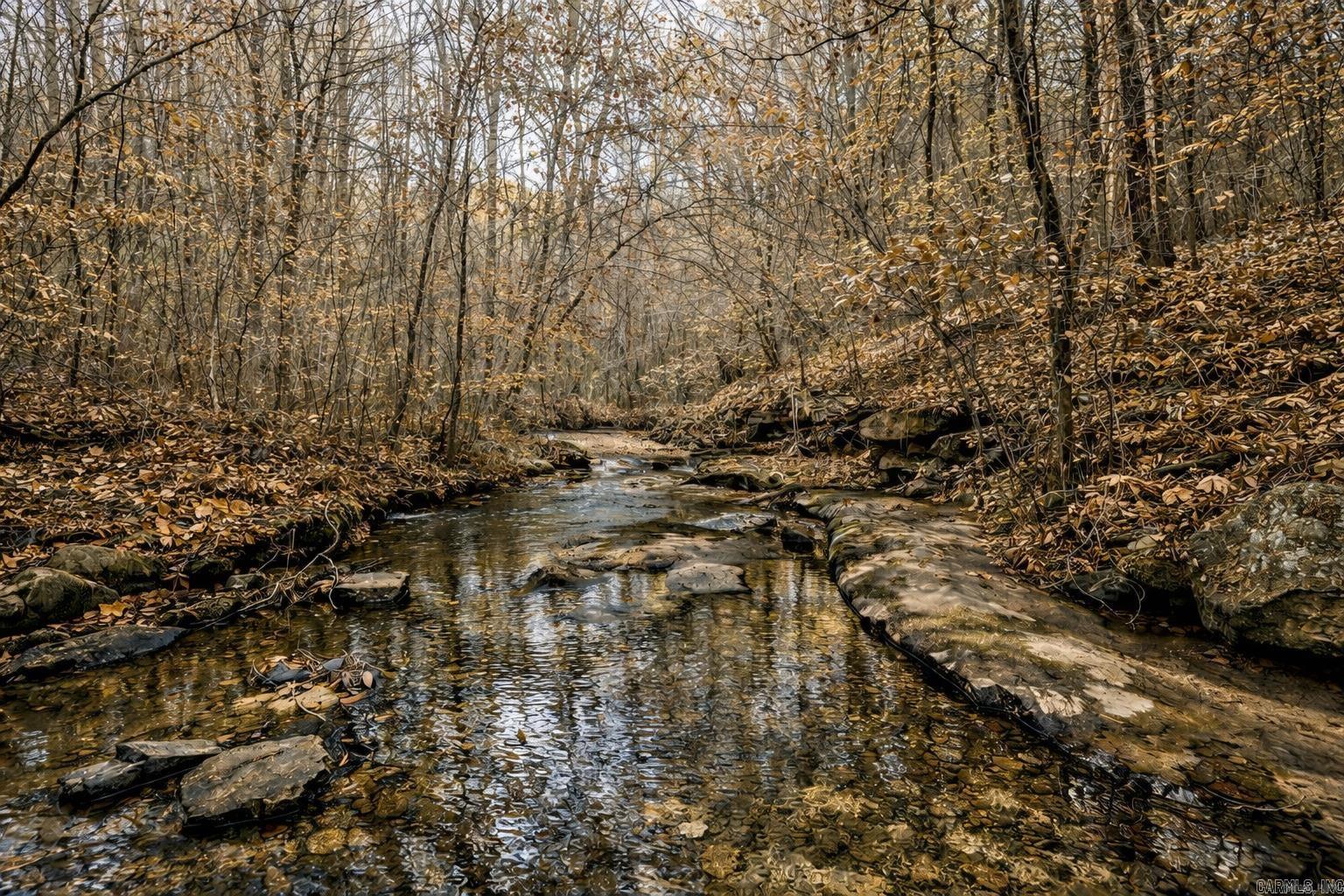 10 Acres of Affordable Land with the All Weather Peyton Creek running thru the property. Located just North of Clinton in Dennard, this property is perfect for Hunting, Camping, and Recreational activities. Just a short drive away from the Buffalo River. Petit Jean Electric and Petit Jean Fiber in the area for Internet- No restrictions- Not in a subdivision. You will need a 4 x 4 Vehicle or ATV to access the property.