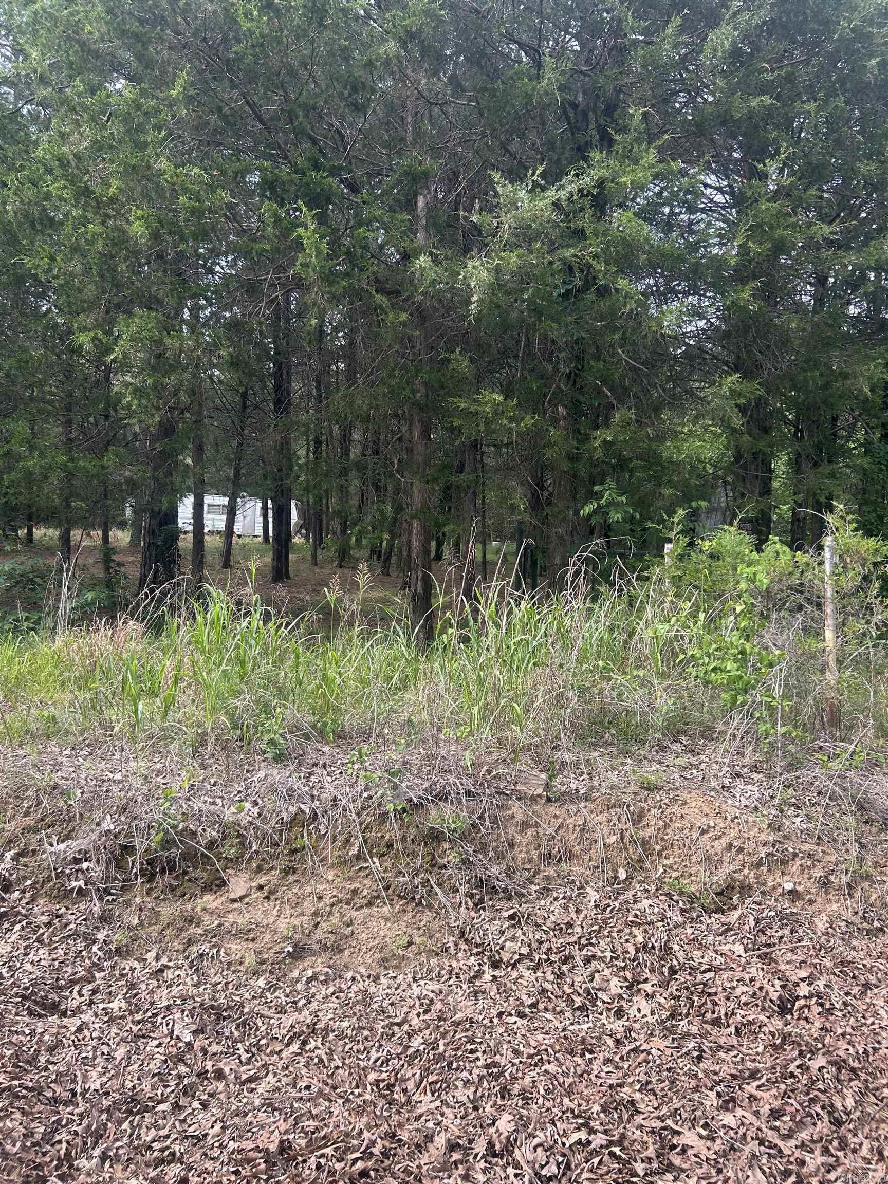 Wooded acreage with places to build your forever home!  Connects to 1000's of acres of great hunting property! Wild game galore!  Contact Tim Wilf with Wilf Realty at 501-940-6746 for any additional information!