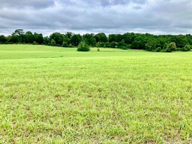 Nice level ground been used for hay ground for years.  On west end a few woods and creek.  Great opportunity to create a nice little farm.  Good hunting down by the creek, it is a natural habitat for deer and turkey.  Great home building sites and some good natural pond sites.