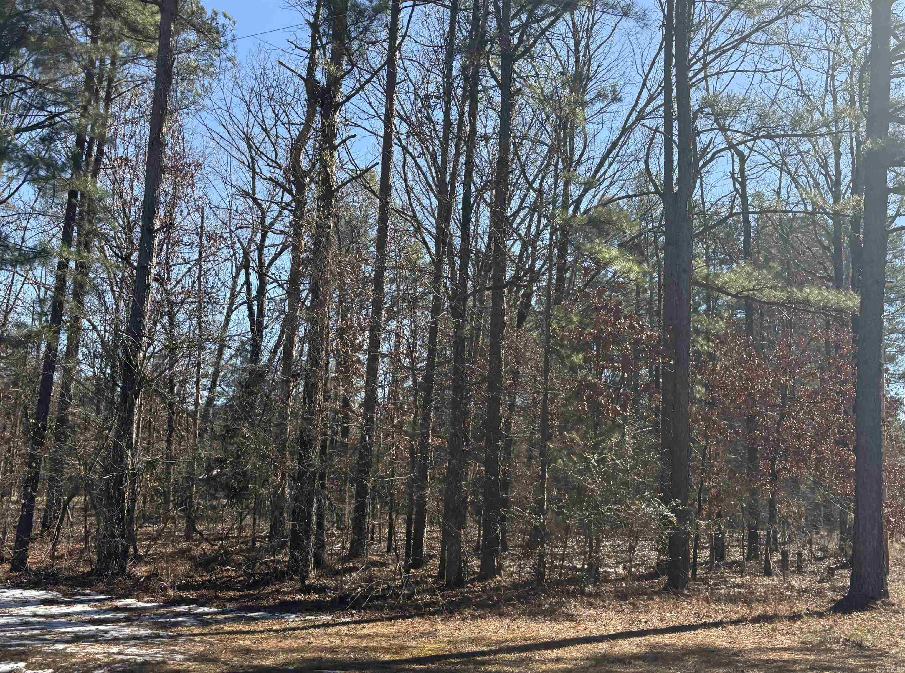 wooded acreage...build on this property or add a mobile home.