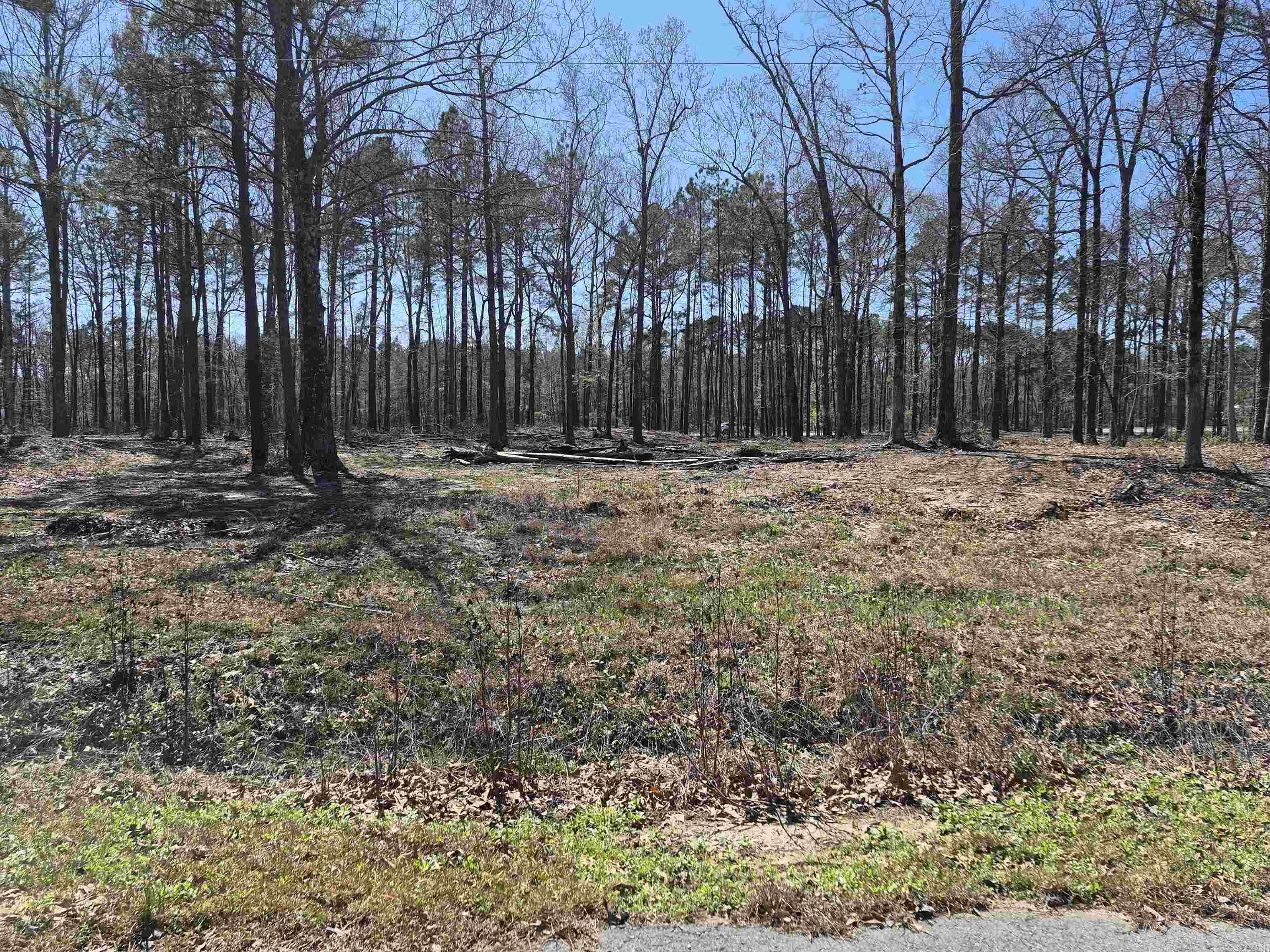 Jefferson County - Land