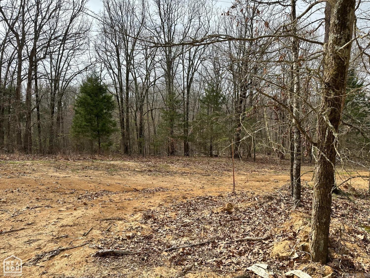 This is a wonderful opportunity to have your own acreage close to Harrisburg and Jonesboro also. Not too far out but far enough to be very comfortable country living and maybe even own cattle if you choose! Water and electric is available at the road.