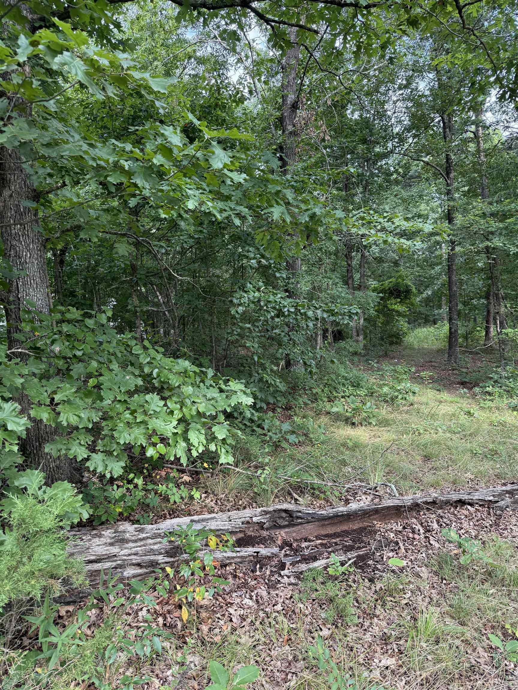 This is a unrestricted lot.  Hard Wood timber, l on paved road with and a rock bluff on the east side.