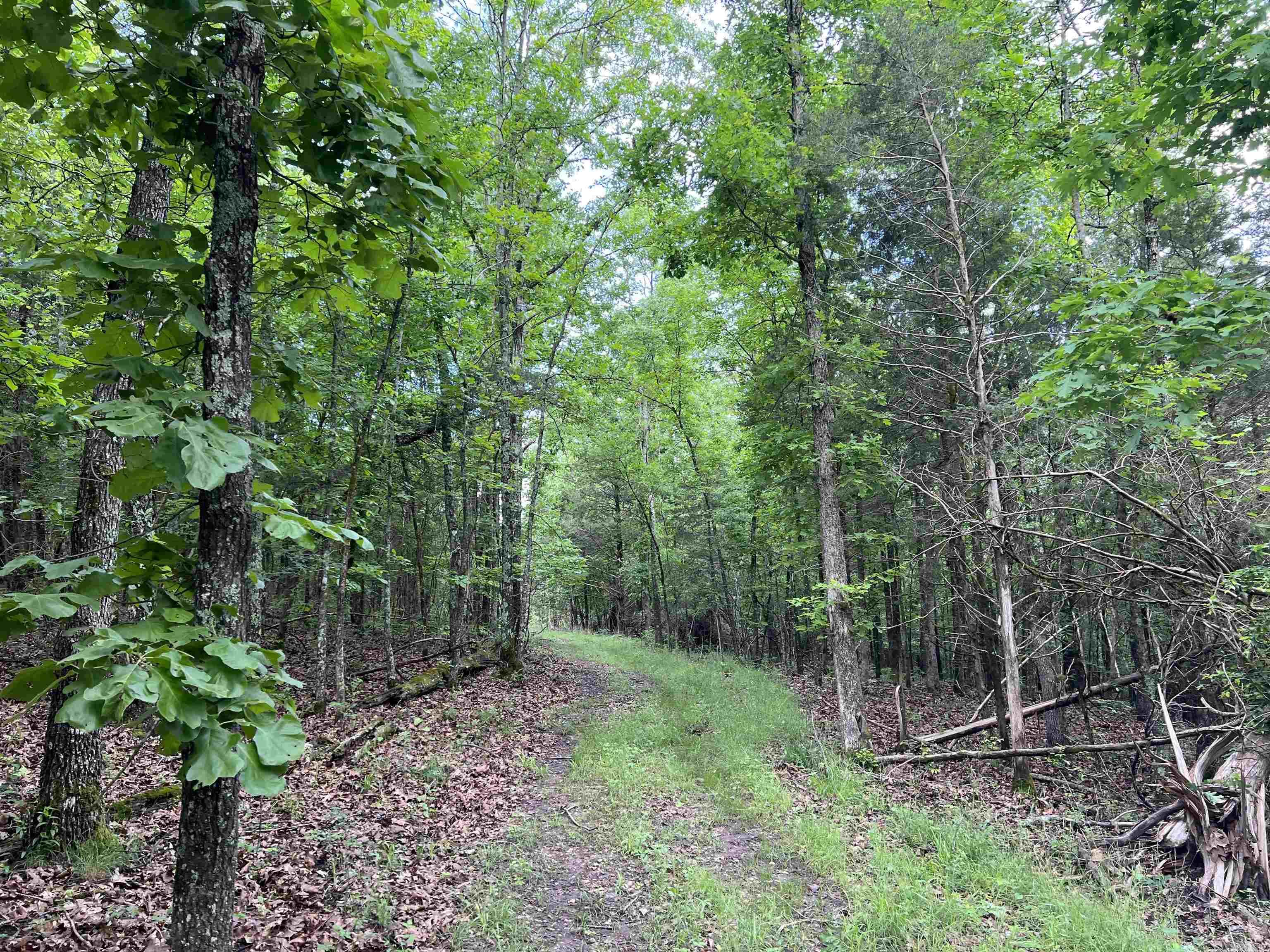 WOW!! Come take a look at this 14.94 acres that has a small creek and also goes to the high bank of Bear Creek. Nice private building site with no restrictions, and utility easements in place.  This is a must see for on grid or off grid living.