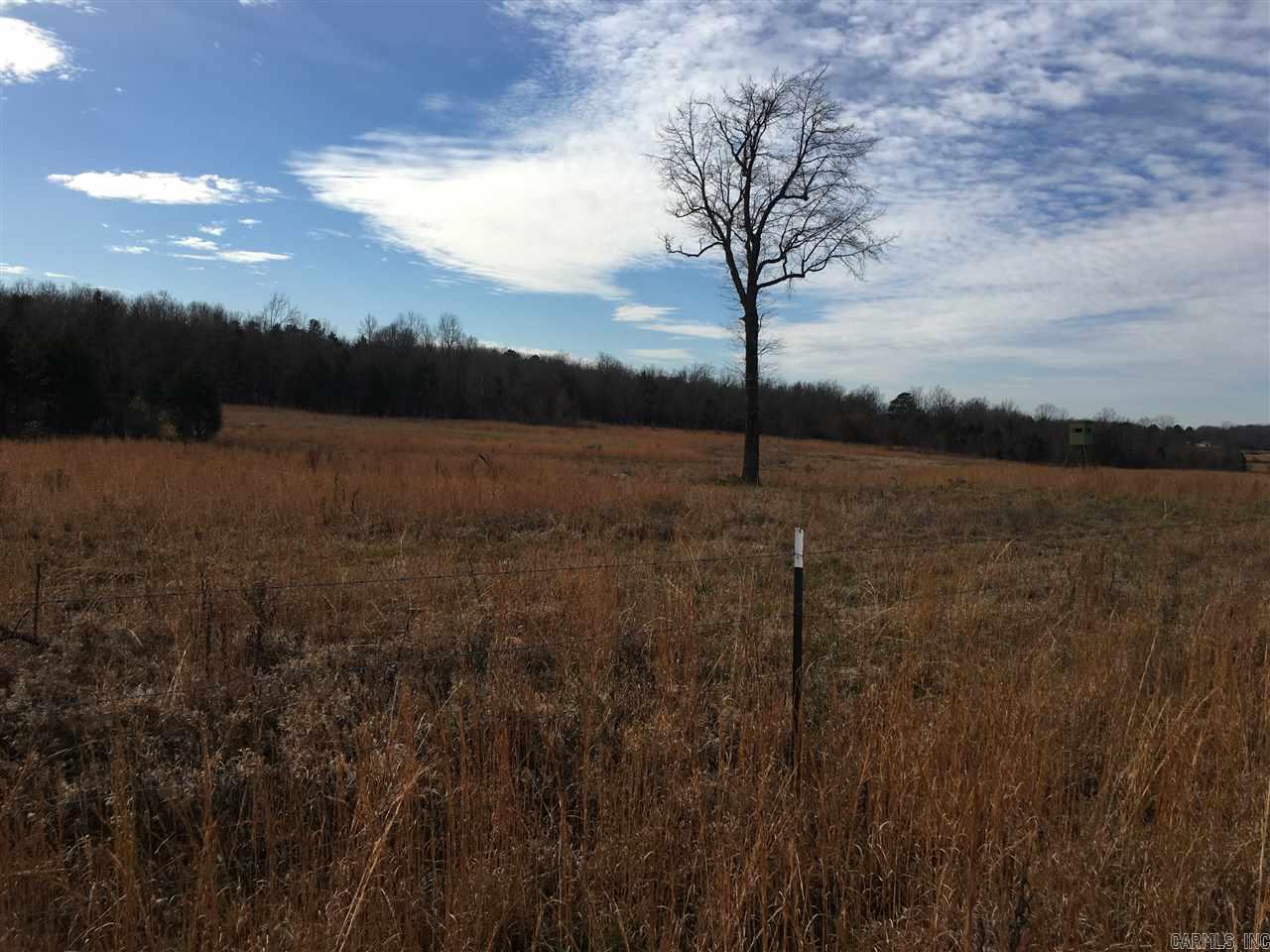 Bald Knob Rural - Farm