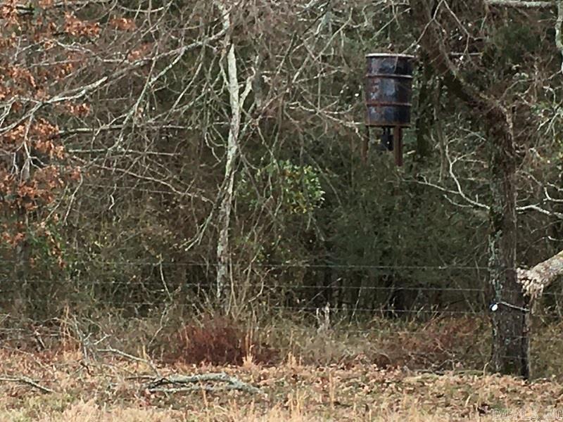 Bald Knob Rural - Farm