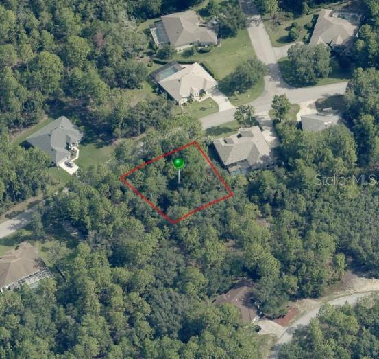 Adjacent lot 31 Saintpaulia St is also for sale. Build your dream home in the highly desirable Sugarmill Woods community! This oversized .27 acre opportunity presents a rarity for discerning buyers, investors, or anyone looking to create their perfect Florida retreat. Surrounded by scenic landscapes, this homesite offers the ideal balance of privacy and natural beauty within an established deed-restricted community known for its tranquil atmosphere and well-maintained homes. With no time limit to build, this property is perfect to build now or hold as an investment for the future.

With paved road access and public water and sewer available, this property is ready for you to bring your vision to life. Residents enjoy low HOA fees of just $155/year, plus the option to join the Sugarmill Woods Civic Association for only $20/year. Optional membership at the Sugarmill Woods Country Club offers an impressive variety of amenities including two golf courses, tennis courts, pickleball courts, a fitness center, Jr. Olympic-sized swimming pool, tiki bar, restaurant, playgrounds, and an active social atmosphere.

Conveniently located near shopping, dining, medical facilities, and some of Florida’s best outdoor recreation, you’ll be just minutes from boating, fishing, kayaking, hiking trails, snorkeling, manatee tours, and seasonal scalloping along Florida’s Nature Coast. Explore the famous Homosassa Springs Wildlife State Park where you can experience manatees, alligators, and native wildlife up close, or spend the day enjoying the charm of Old Homosassa with its fresh seafood restaurants, local craft shops, and quaint coastal atmosphere. Plus, the Suncoast Parkway is within easy reach, providing a seamless drive to Tampa International Airport in under an hour.

Don’t miss your opportunity to own a slice of Florida’s Nature Coast and start living the lifestyle you’ve been dreaming about!