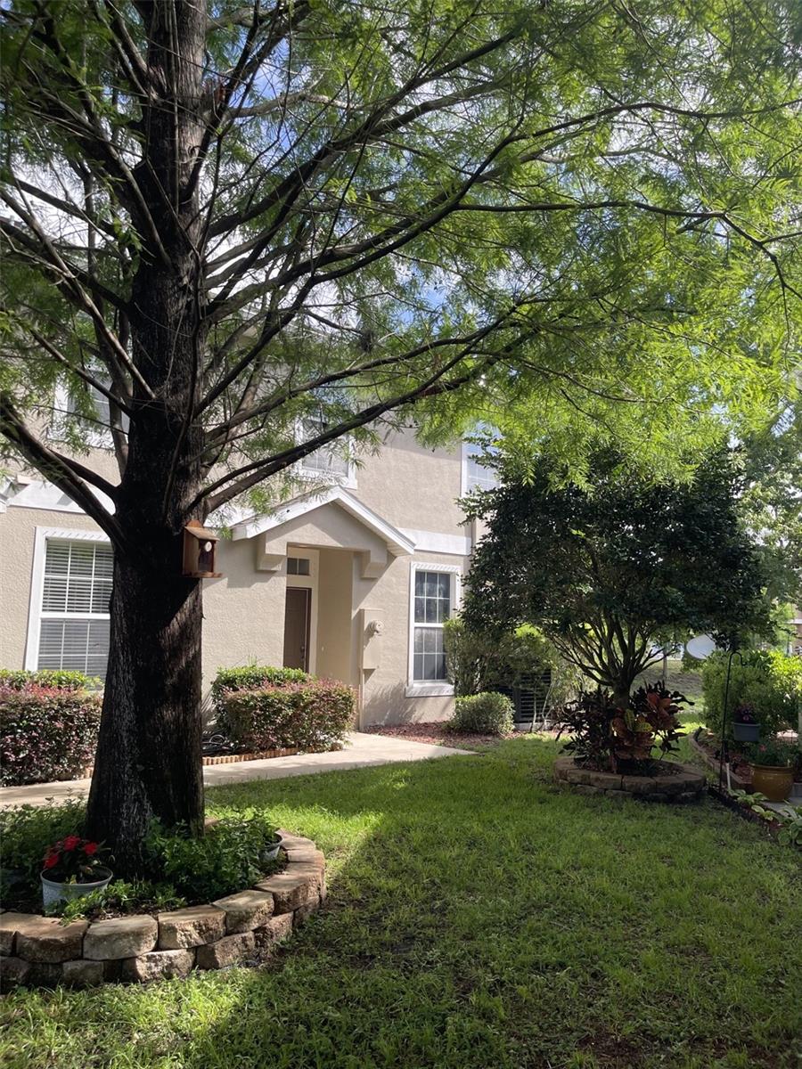 LITTLE RDG - Residential