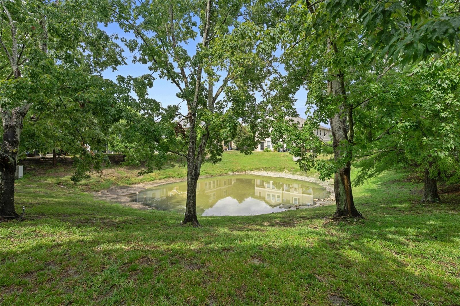 LITTLE RDG - Residential