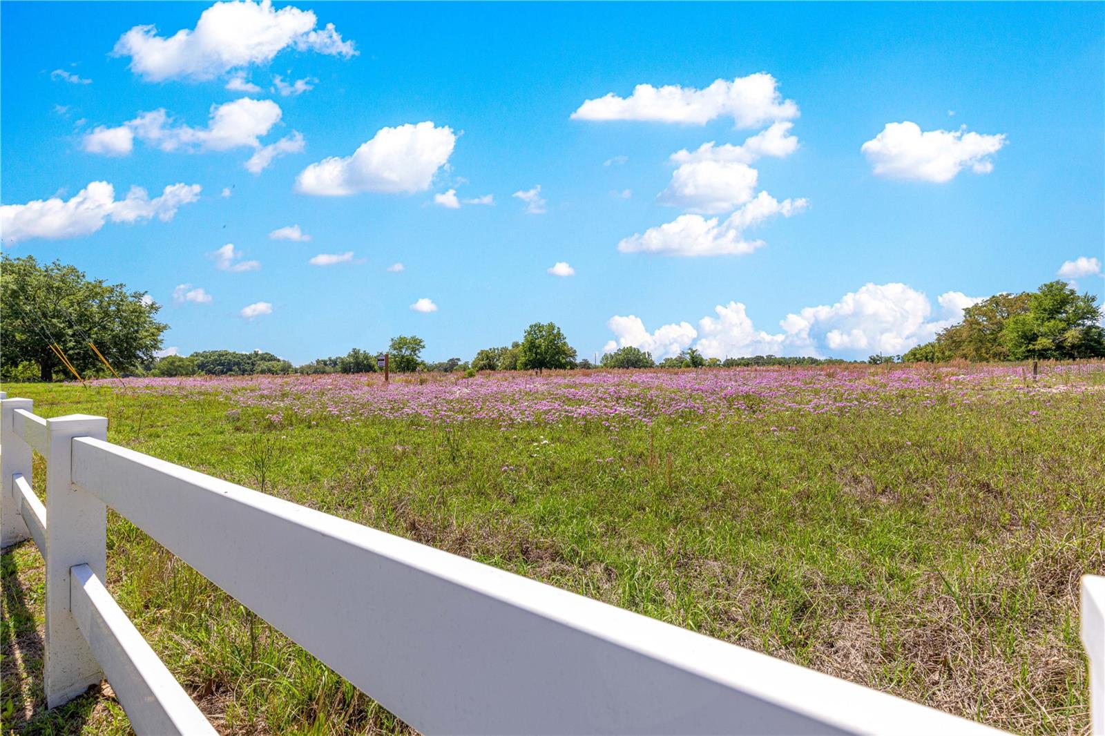 CANDLER HILLS WEST THE SANCTUA - Residential