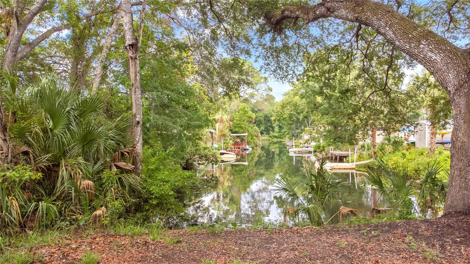 WEEKI WACHEE RIVER ESTATE - Land