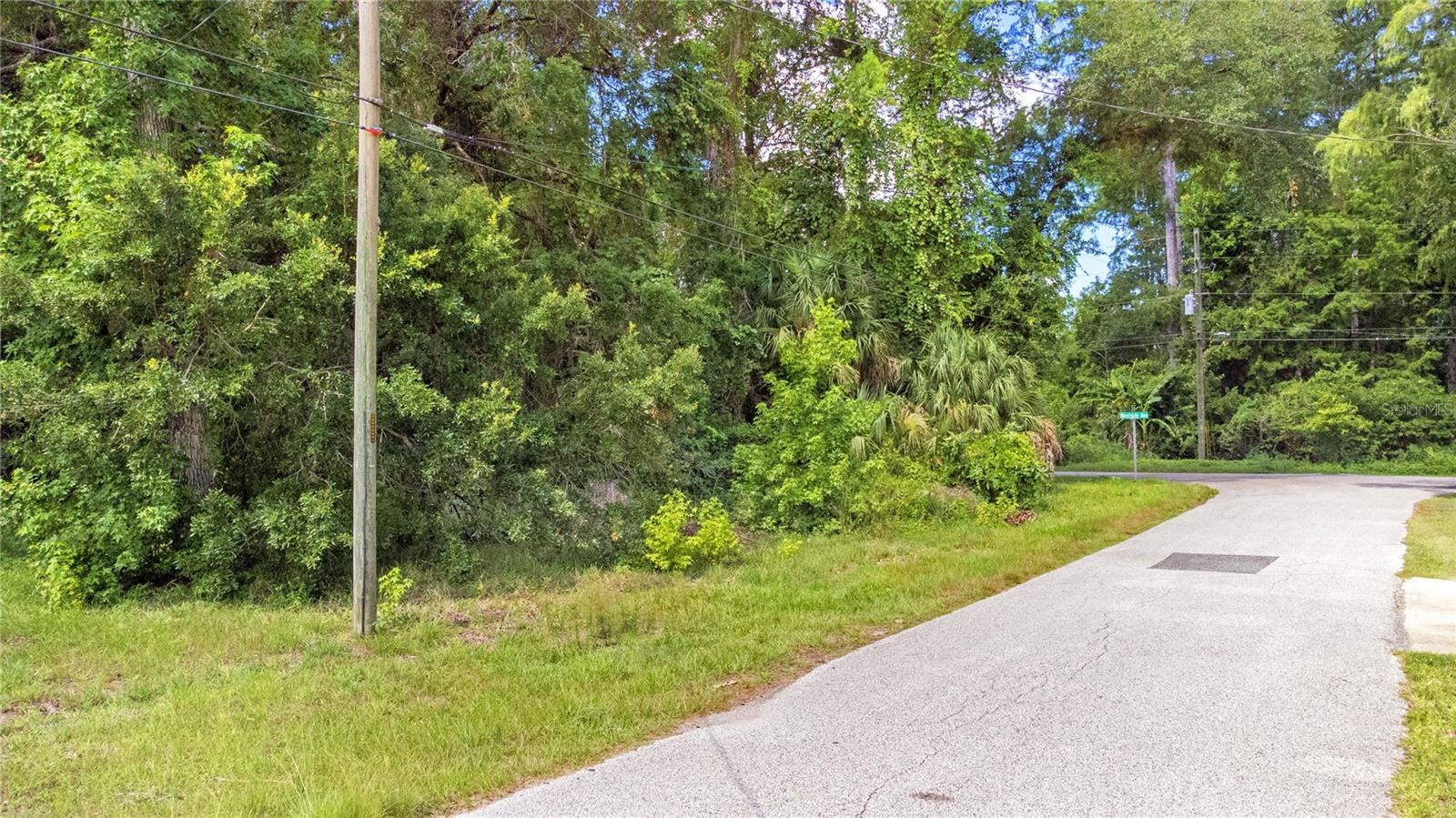 WEEKI WACHEE RIVER ESTATE - Land