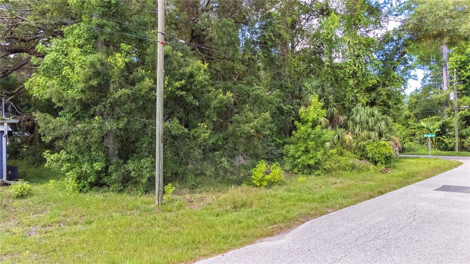 WEEKI WACHEE RIVER ESTATE - Land