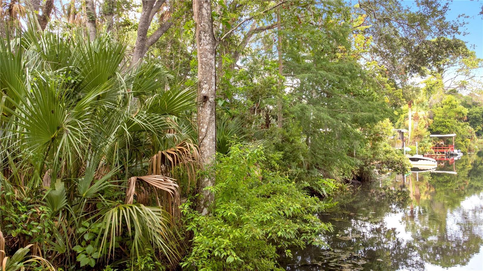 WEEKI WACHEE RIVER ESTATE - Land