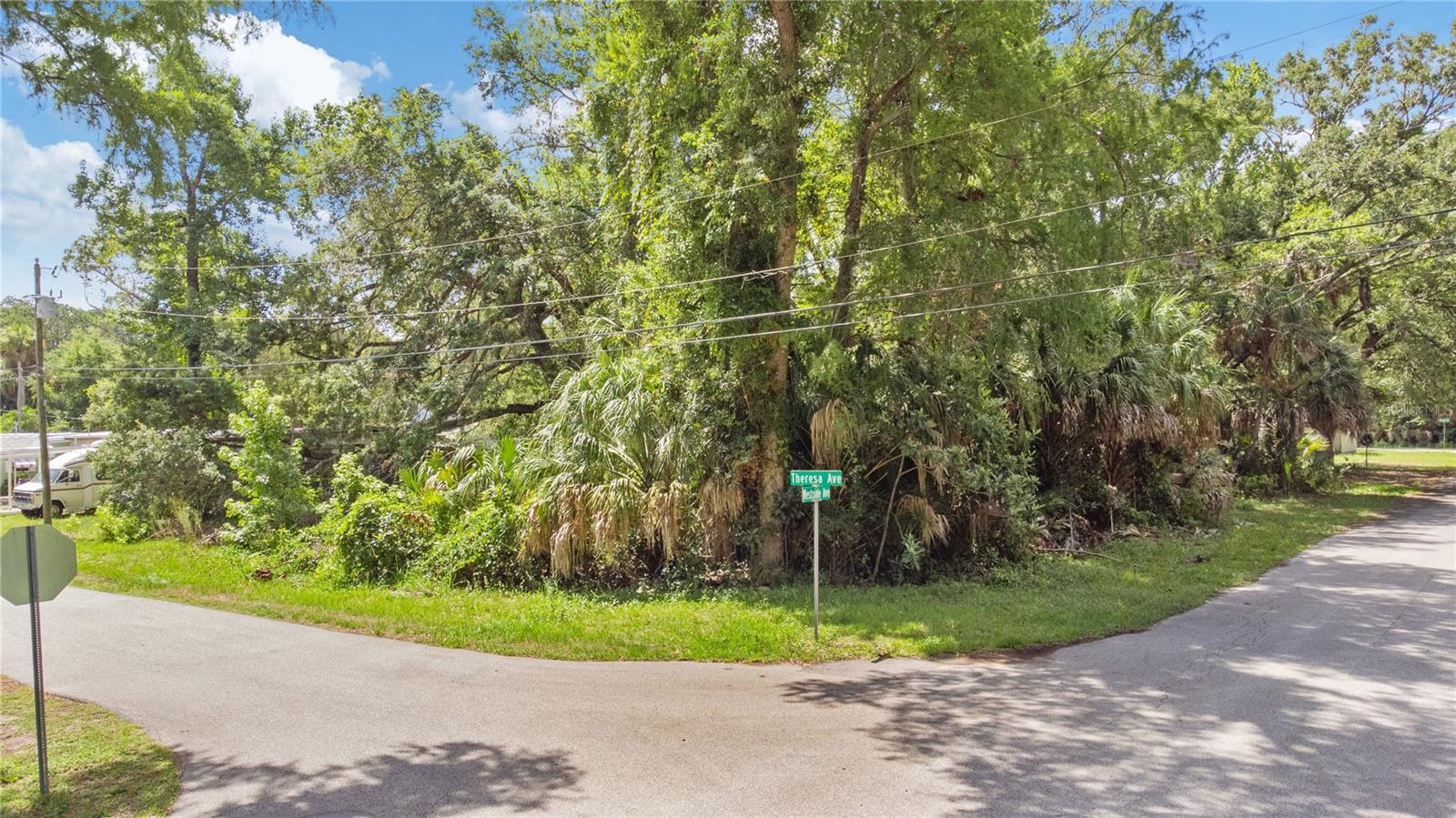 WEEKI WACHEE RIVER ESTATE - Land