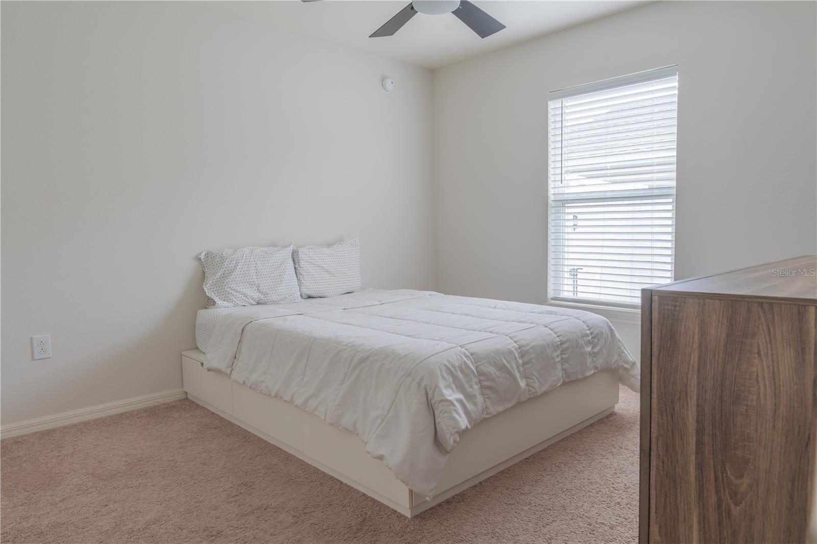 AUBURN COVE PH 2 & 3 - Residential