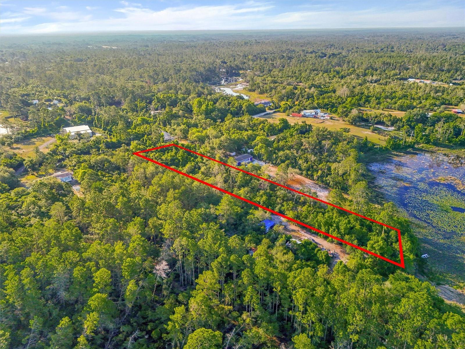 Ready to own NEARLY 2 ACRES of WATERFRONT property on Buck Lake? This beautiful piece of land offers the perfect opportunity to build your dream home or place a manufactured home and enjoy peaceful lakefront living. With Agricultural zoning, you also have added flexibility for a variety of uses, giving you the space and freedom to truly make it your own.
Surrounded by natural beauty and privacy, yet conveniently located, you’re within an hour of Florida’s east coast beaches, including Daytona Beach, Ormond Beach, and New Smyrna Beach. Head about 30 miles in the other direction and you’ll find yourself in Orlando, with easy access to Walt Disney World and other major attractions.
Closer to home, enjoy the charm of Eustis with its waterfront dining, boutique shops, and local entertainment, or take a short drive to Mount Dora, known for its quaint downtown, festivals, and small-town feel.
Whether you’re looking for a quiet retreat or a place to create something special, this property offers the space, location, and potential to bring your vision to life. Schedule your exclusive tour, TODAY!