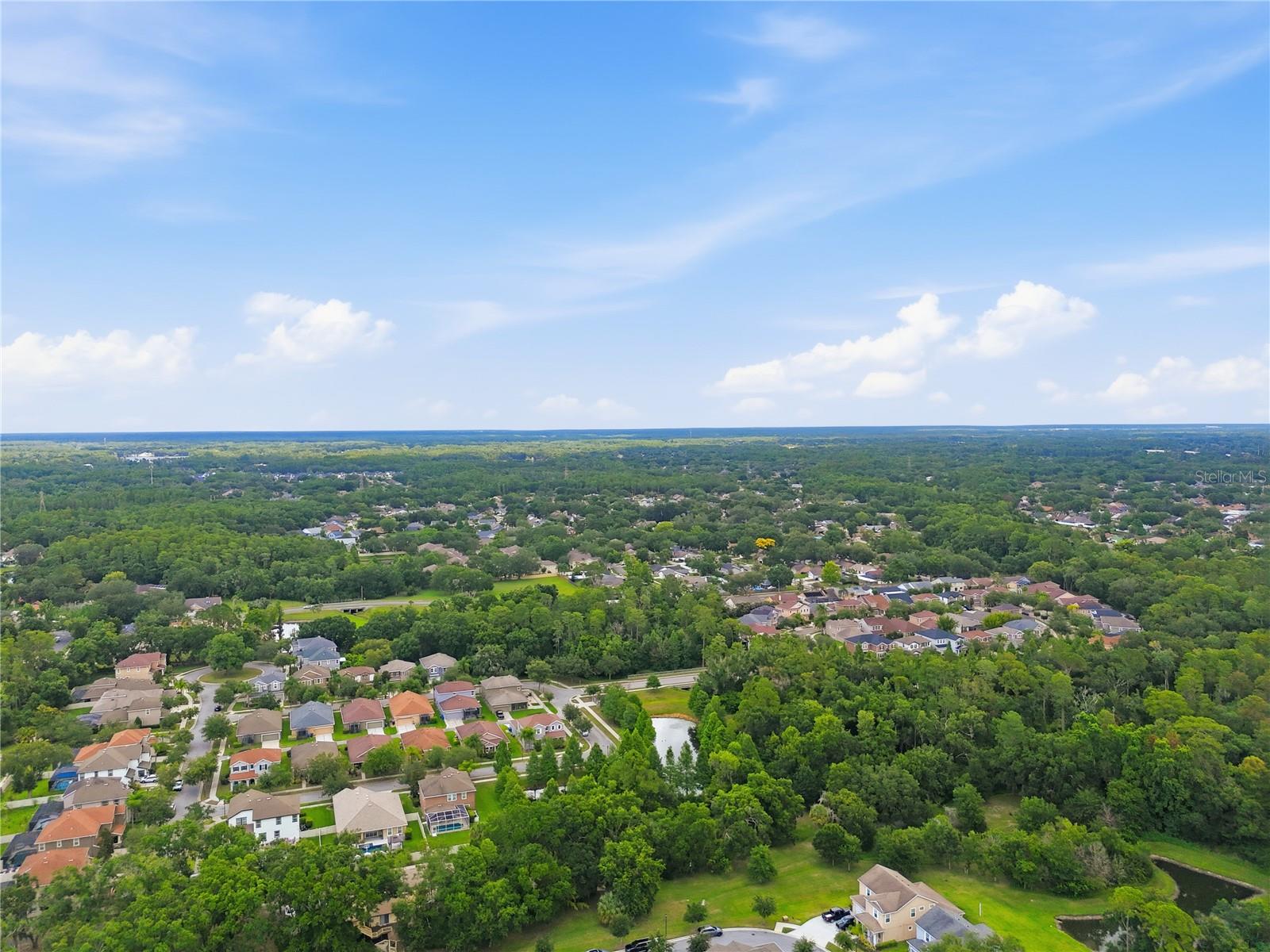 PARK BROOK OF CITRUS PARK - Residential