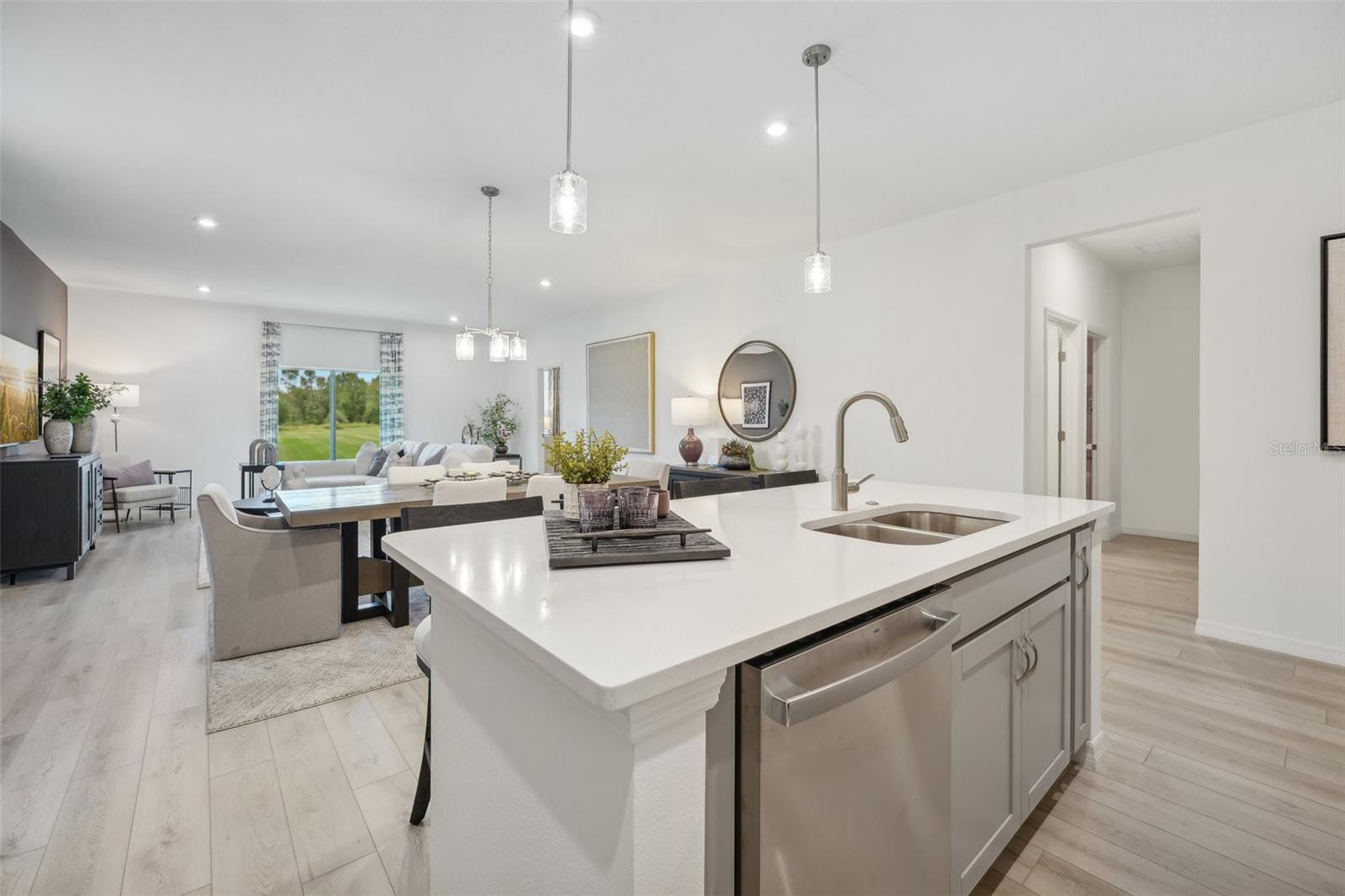 SILVER LAKE POINTE - Residential