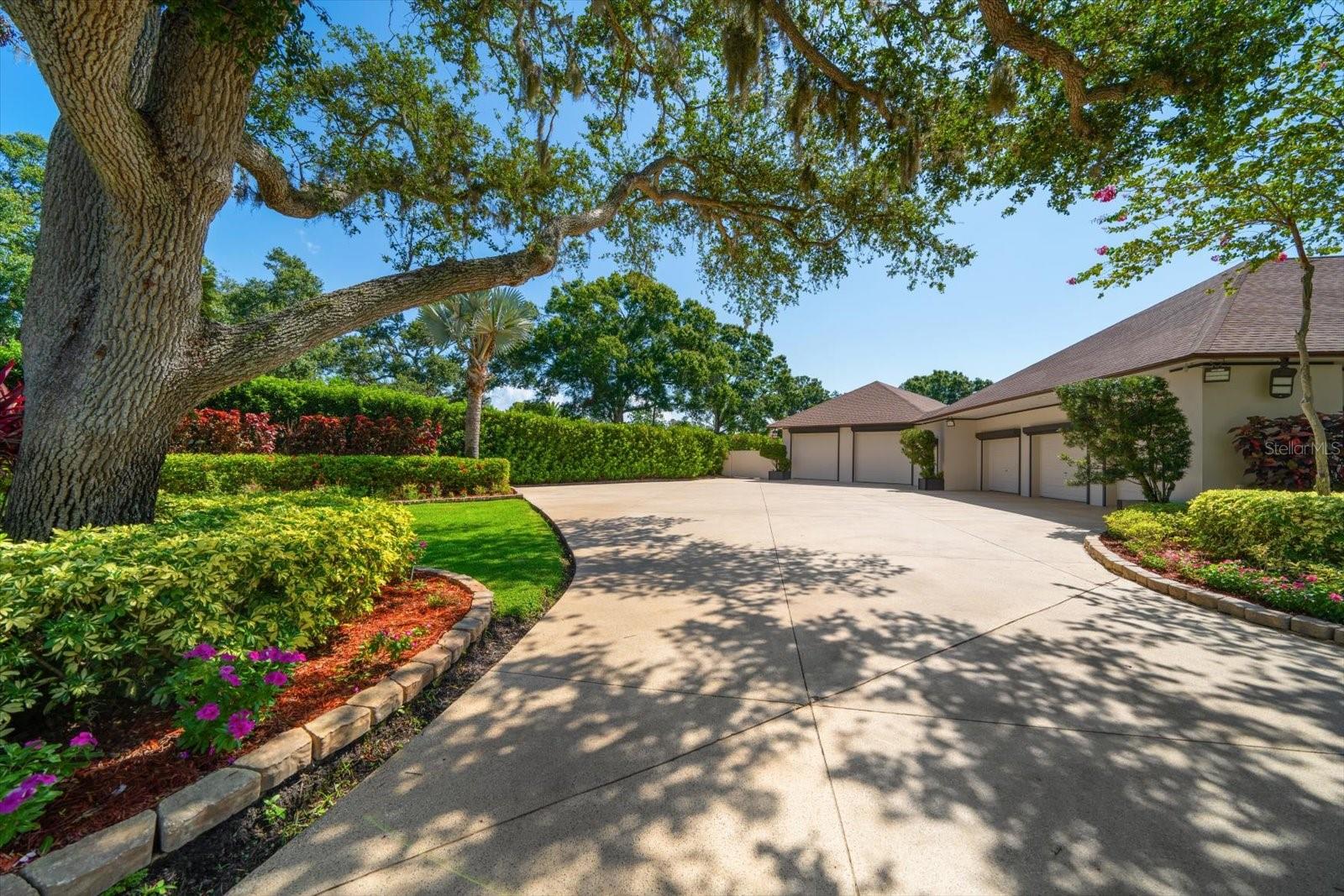 LITTLE PETE TR - Residential