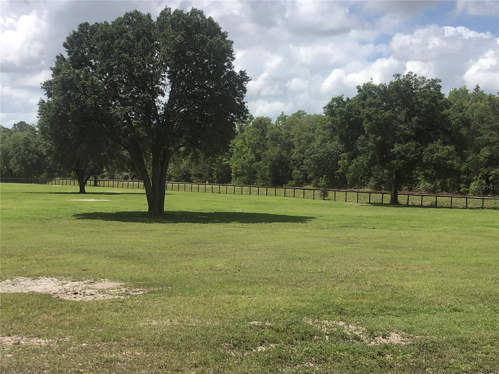 This Beautifully maintained 36+ acre property is cleared, board and wire fencing and ready for your livestock, with huge live oaks with lush beautiful pasture located 15 minutes from the World Equestrian Center and the Springs in Dunnellon, 10 minutes from HITS, 5 minutes from World renown diving locations in Williston, 30 minutes from Ocala and 30 minutes from Gainesville.  Location just  off Highway 41 with just a short 15 min drive to The Black Prong Equestrian Center, Goethe Forest and about 45 minutes to Crystal River.  It is a must see for anyone wanting peace and quiet but close to everything!