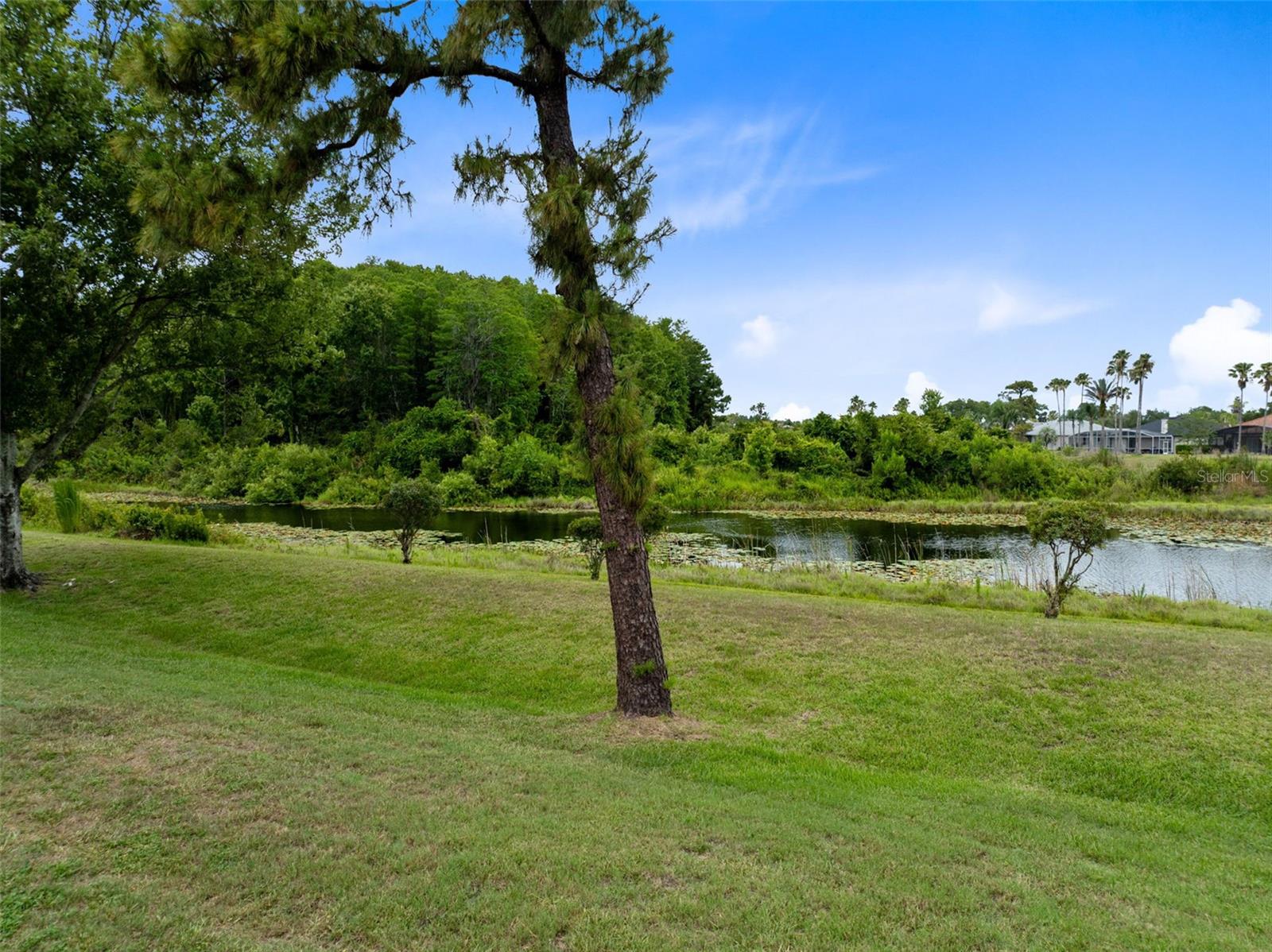 STONEYBROOK UNIT 1 - Residential