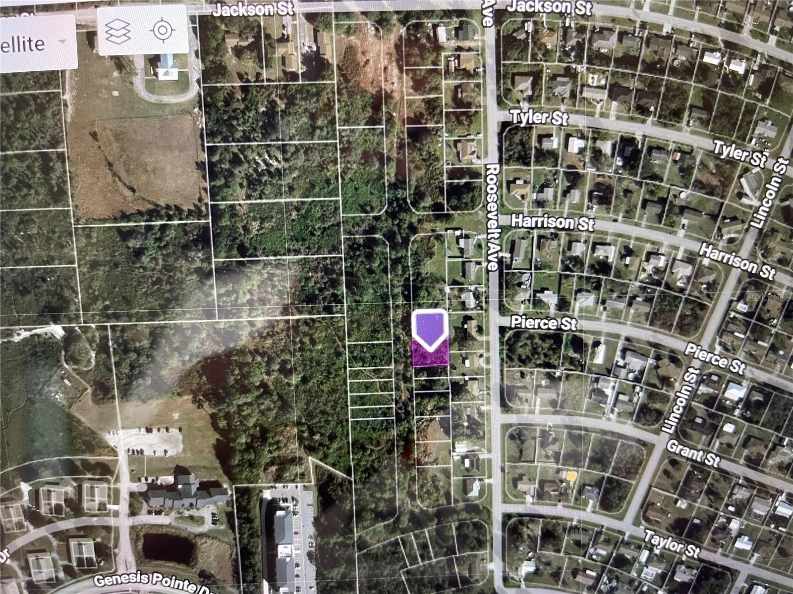 SOUTH LAKE WALES - Land