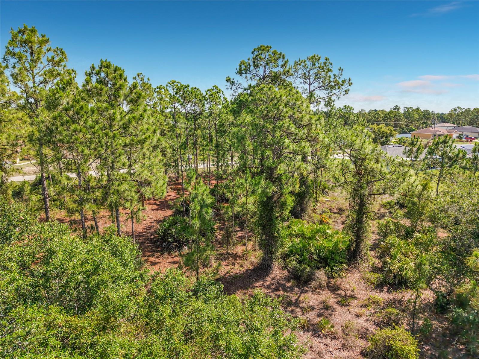 LEHIGH ACRES - Land