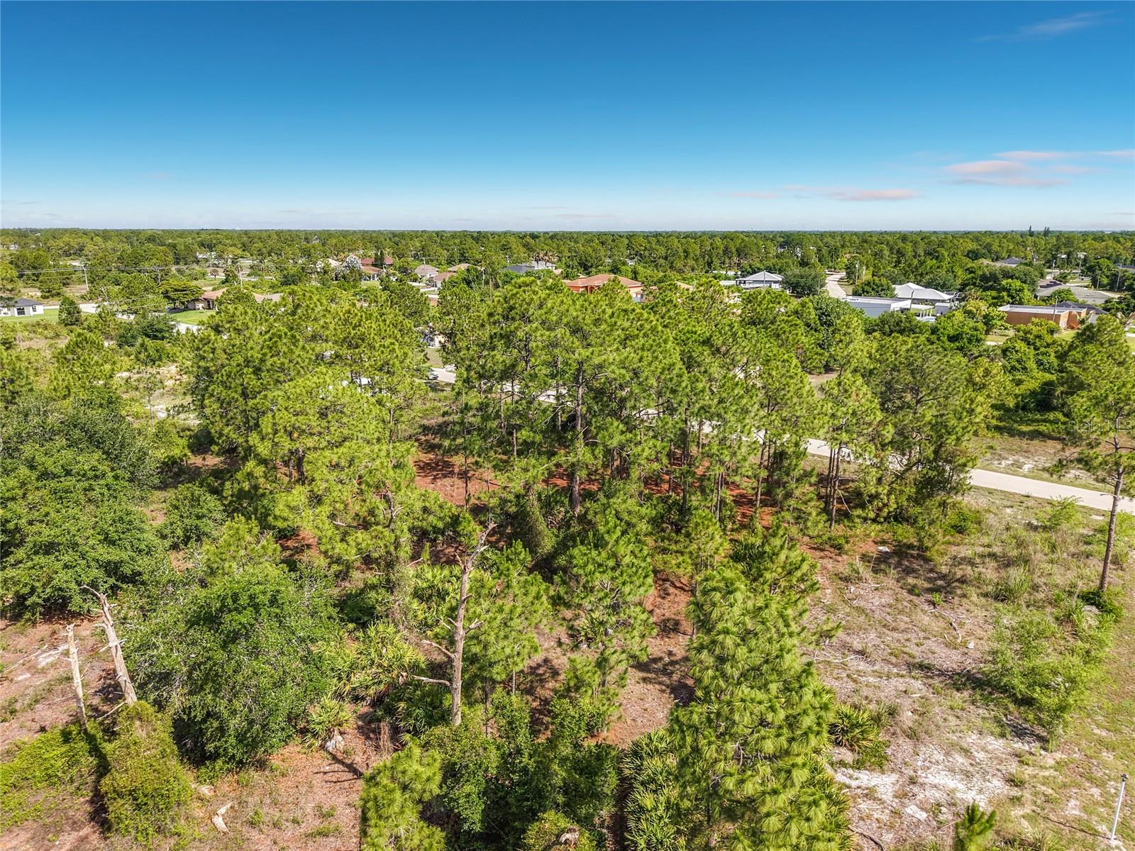 LEHIGH ACRES - Land