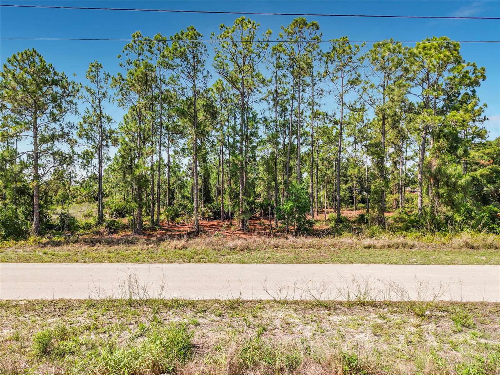 LEHIGH ACRES - Land