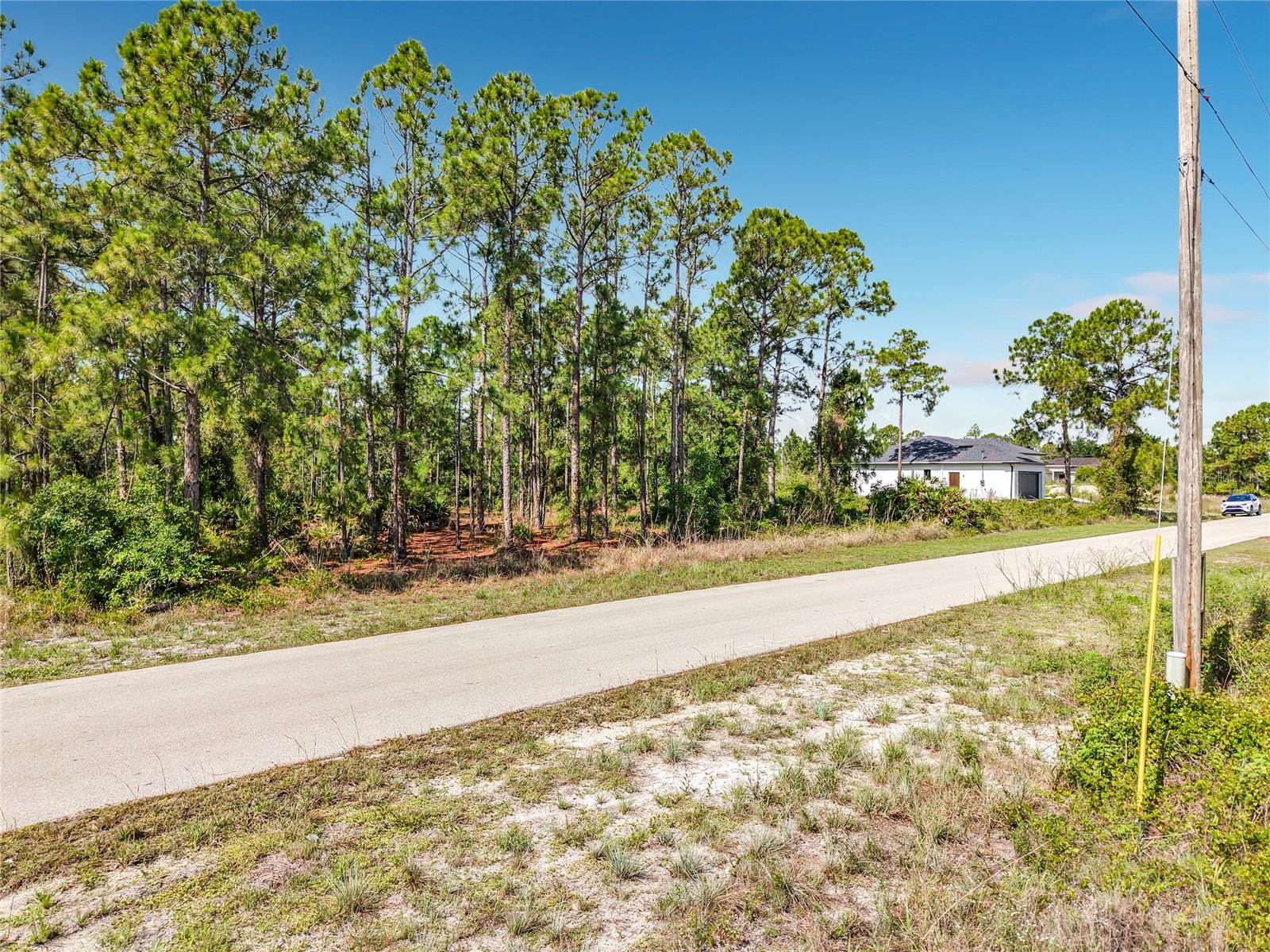 LEHIGH ACRES - Land