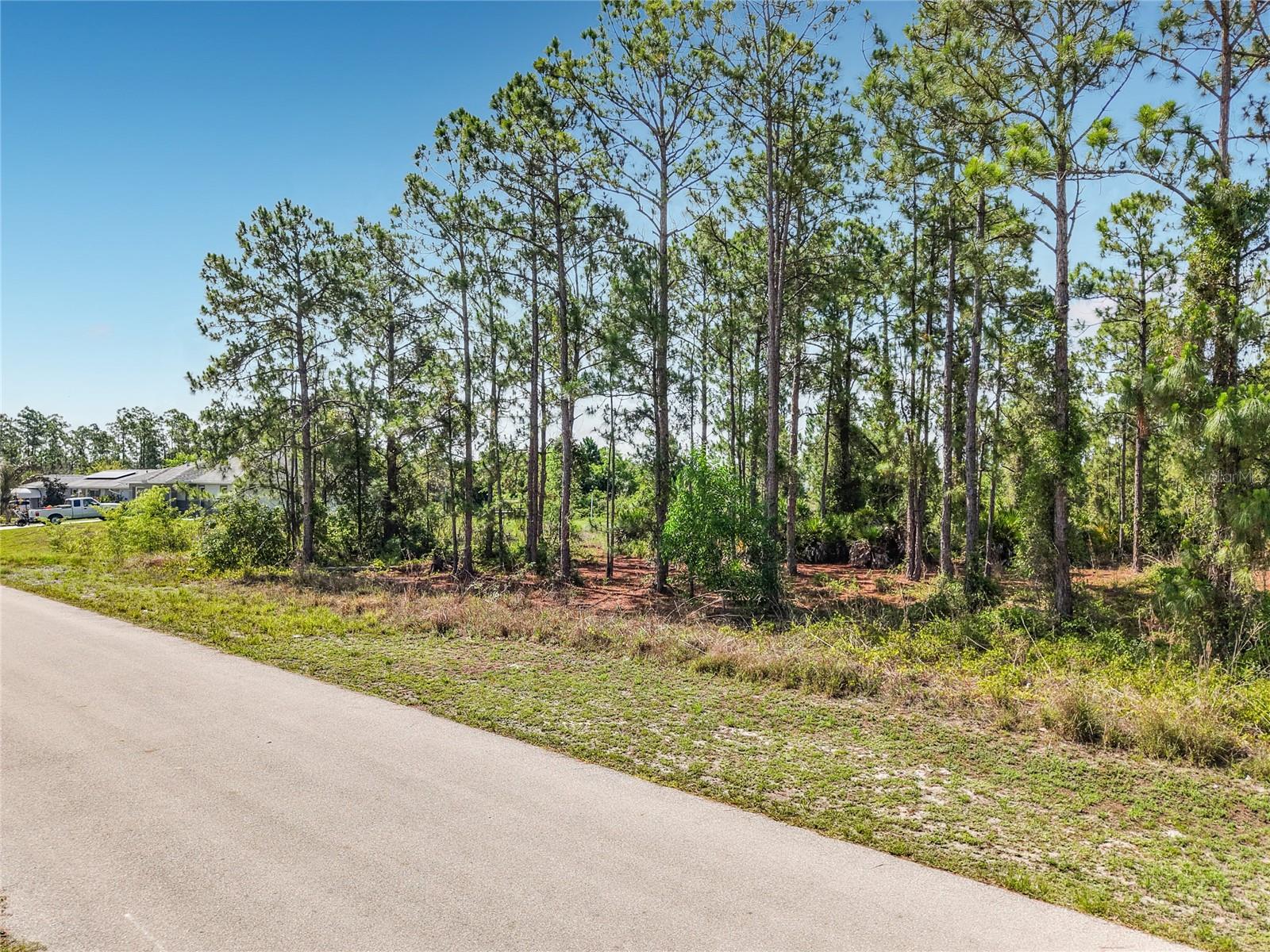 LEHIGH ACRES - Land