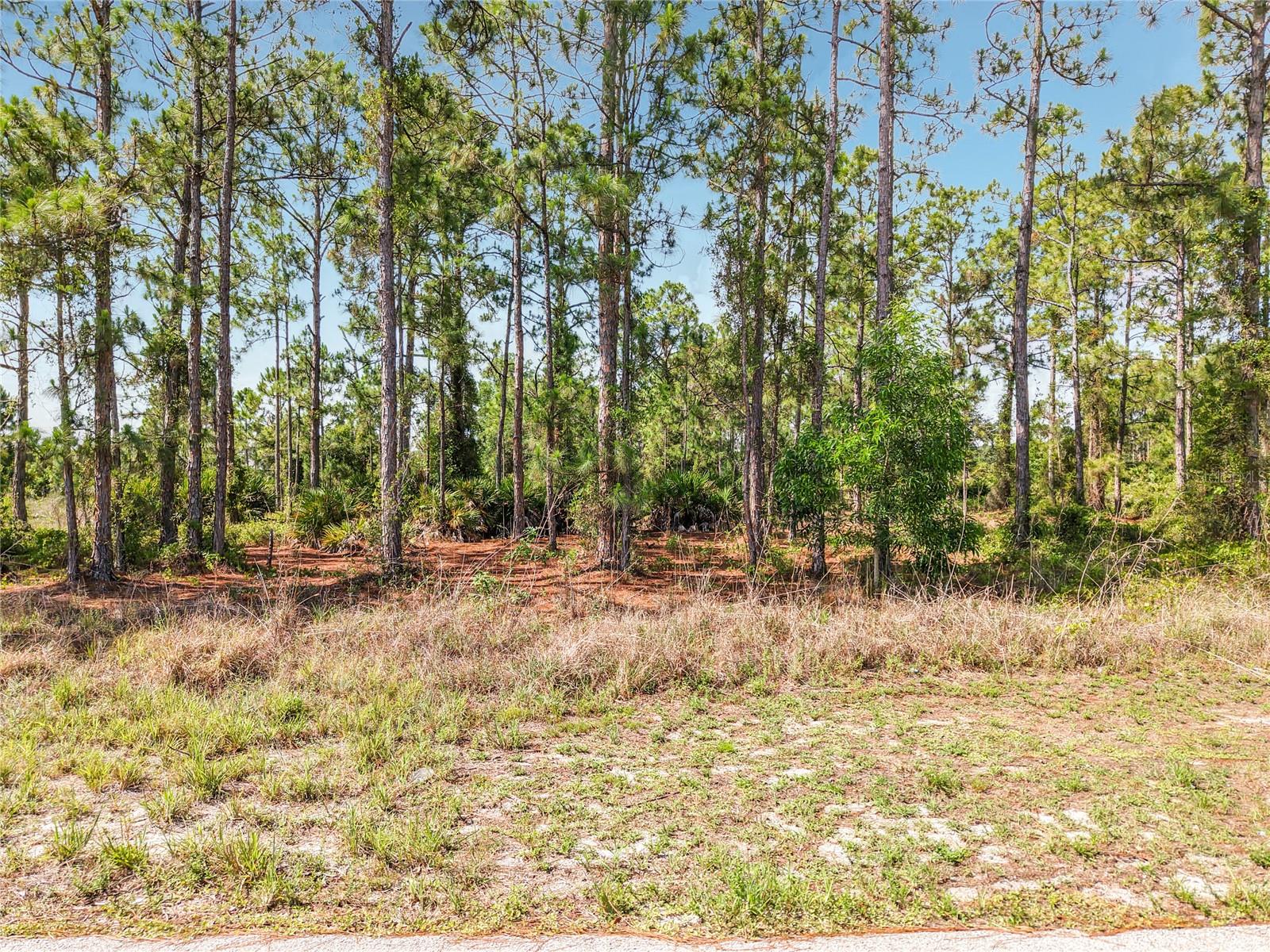 LEHIGH ACRES - Land