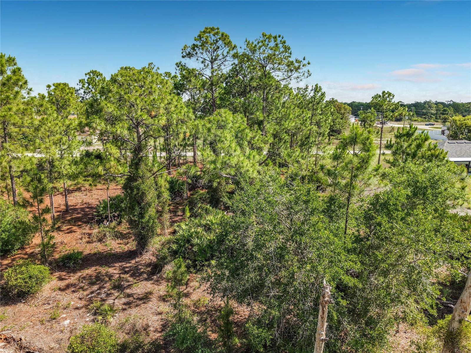 LEHIGH ACRES - Land