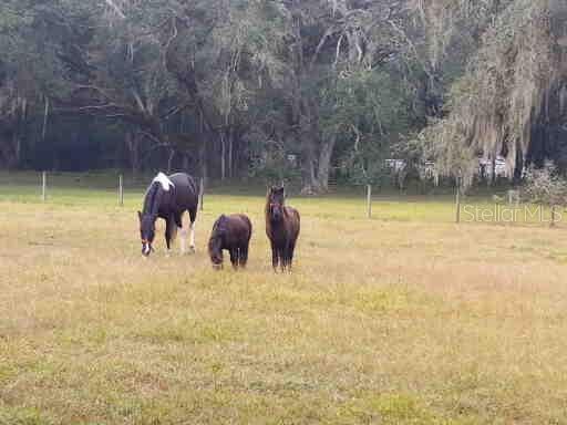 N/A - Farm