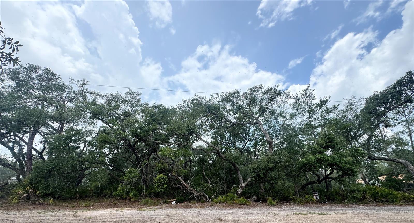 Rare opportunity to own 3 acres in Marion Oaks with desirable A1 zoning! This oversized parcel offers significantly more space than many lots in the area, providing plenty of room to create your ideal homesite, mini farm, or private retreat.
Surrounded by mature trees and natural beauty, the property offers a peaceful, secluded setting while still being conveniently located near shopping, dining, schools, and major roadways. The wooded landscape provides privacy, shade, and flexibility to clear only what you need while preserving the character of the land.
Whether you're looking to build now or invest for the future, this large acreage tract offers endless possibilities with the freedom and versatility that A1 zoning provides.