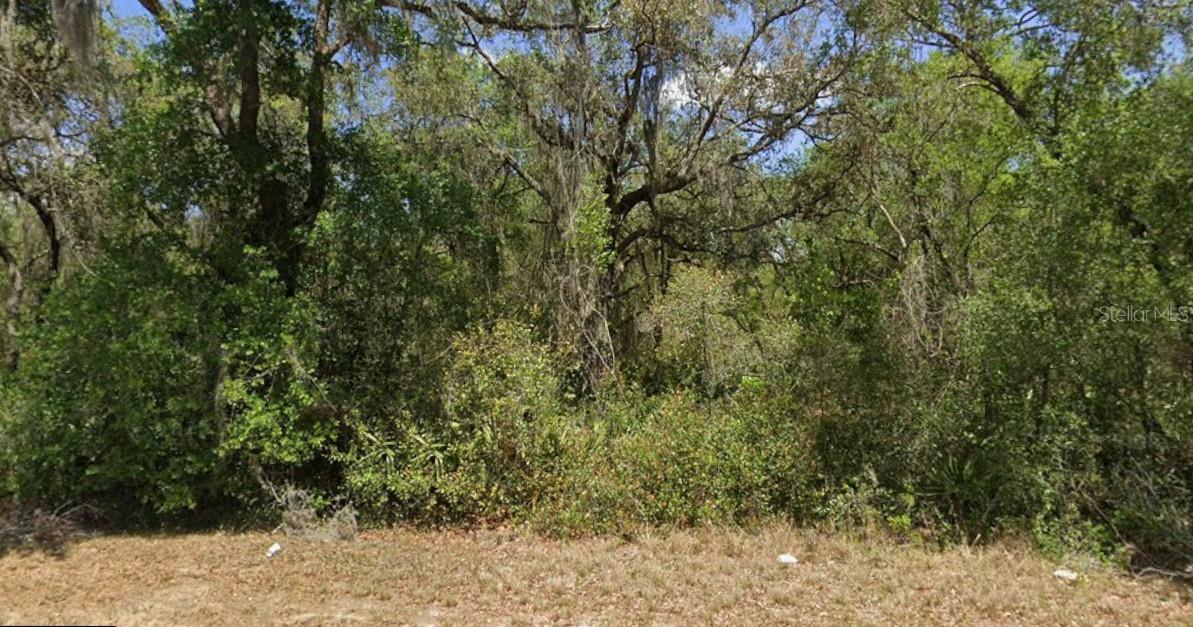 FRST LAKE CAMPSITES - Land