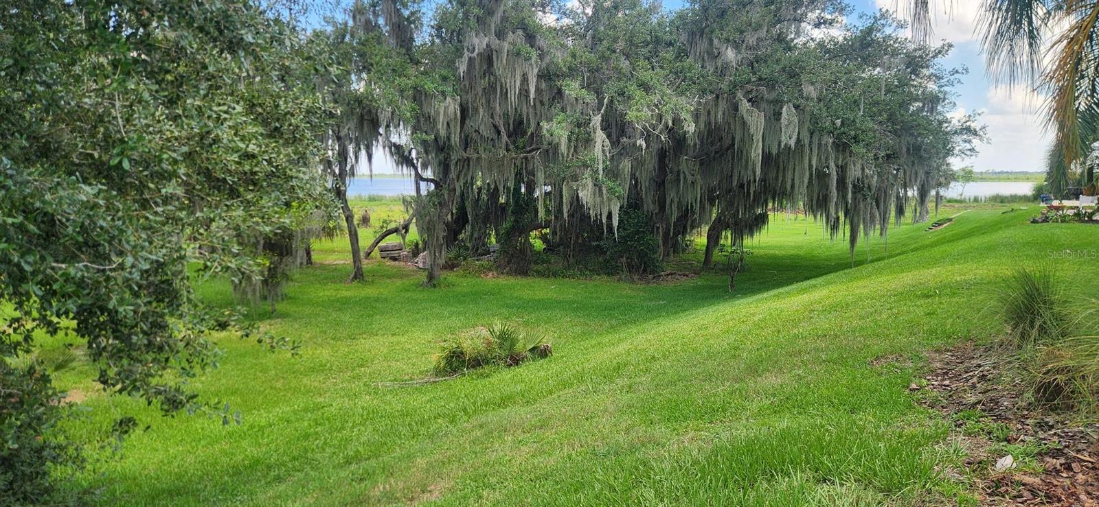 BAY LAKE RESIDENCE - Land