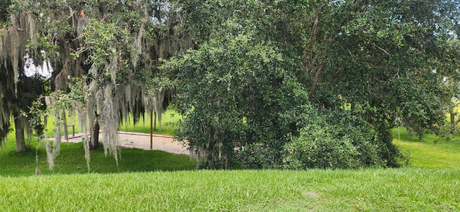BAY LAKE RESIDENCE - Land